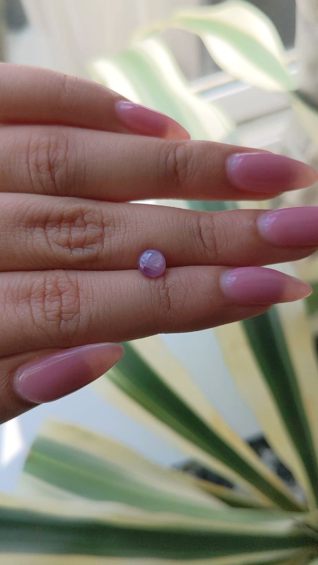 1.63 Ct. Purple Star Sapphire from Ceylon (Sri Lanka) Size Video