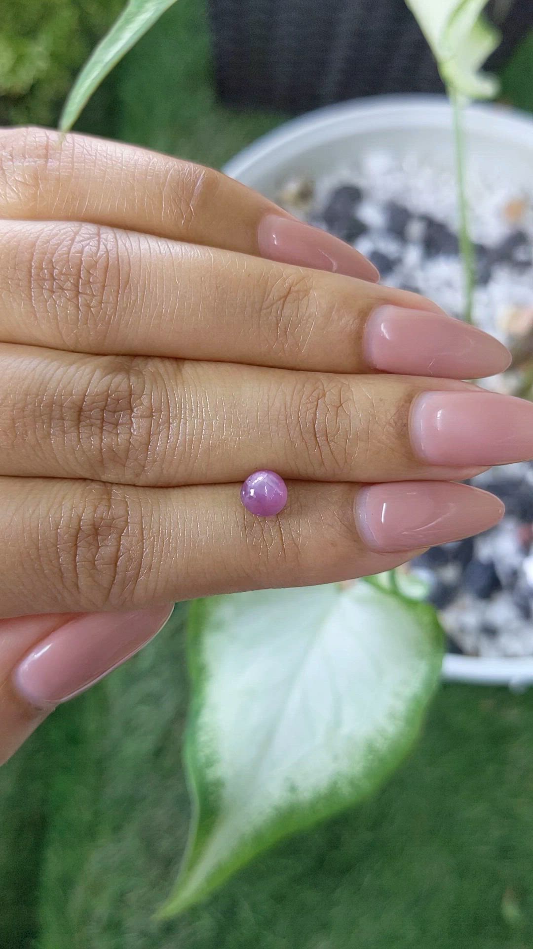 1.63 Ct. Purple Star Sapphire from Ceylon (Sri Lanka) Size Video