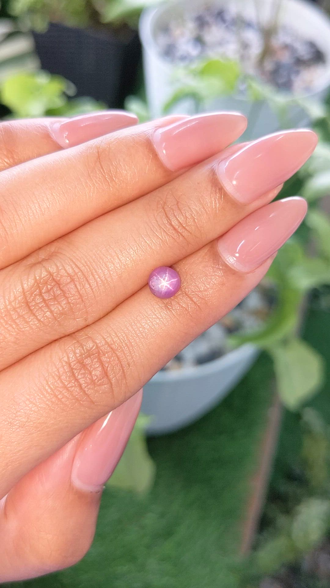 1.63 Ct. Purple Star Sapphire from Ceylon (Sri Lanka) Size Video