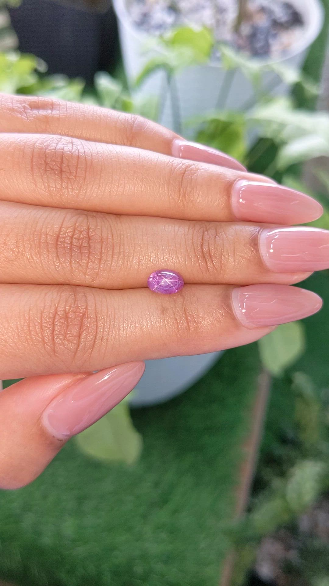1.03 Ct. Pinkish Purple Star Sapphire from Ceylon (Sri Lanka) Size Video