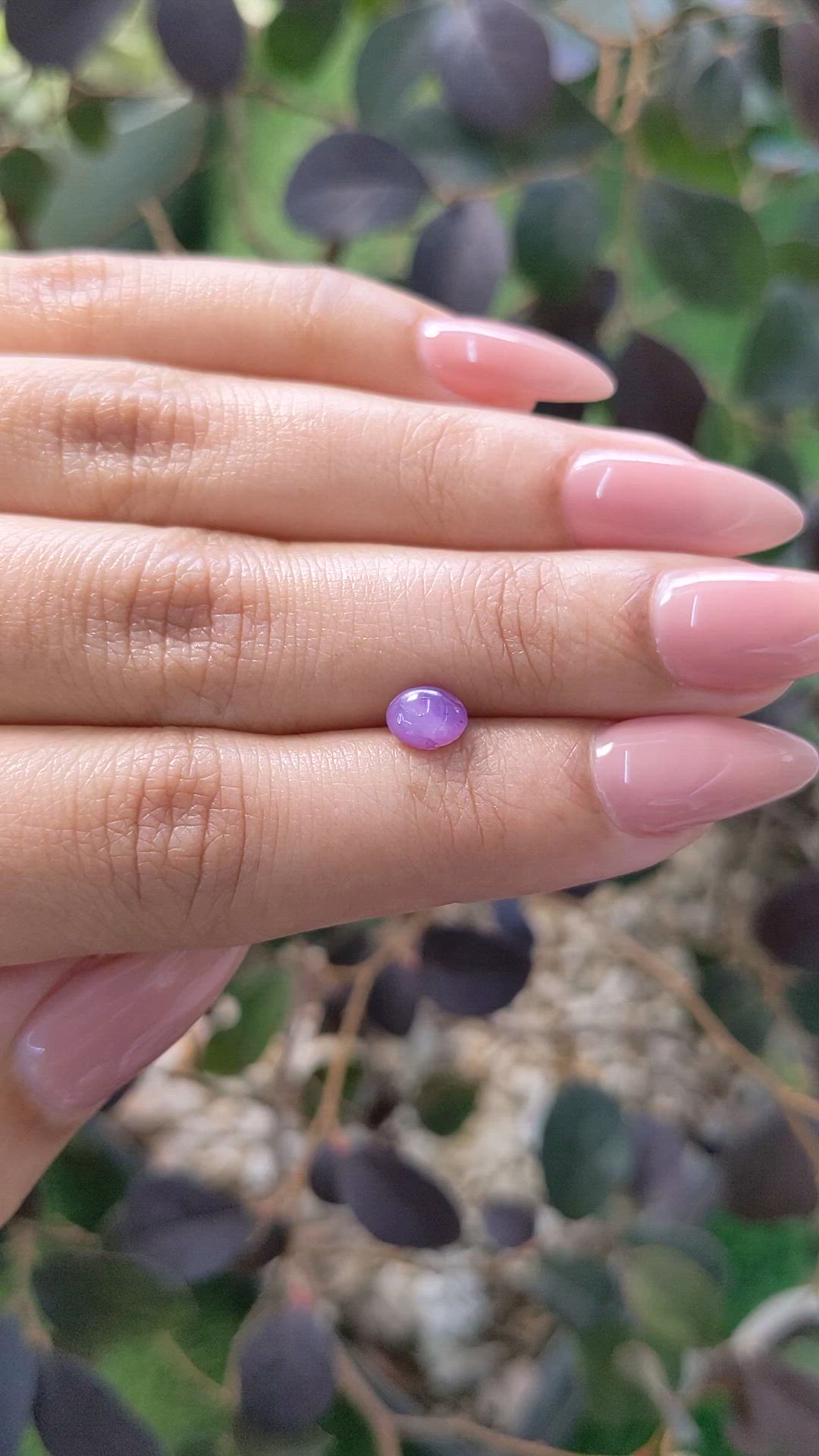 1.23 Ct. Purple Star Sapphire from Ceylon (Sri Lanka) Size Video