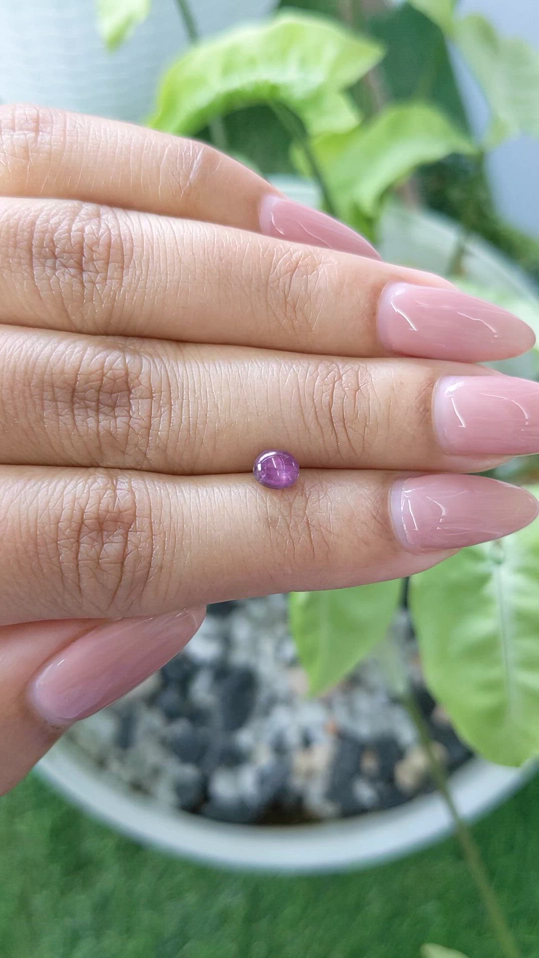 1.22 Ct. Pinkish Purple Star Sapphire from Ceylon (Sri Lanka) Size Video