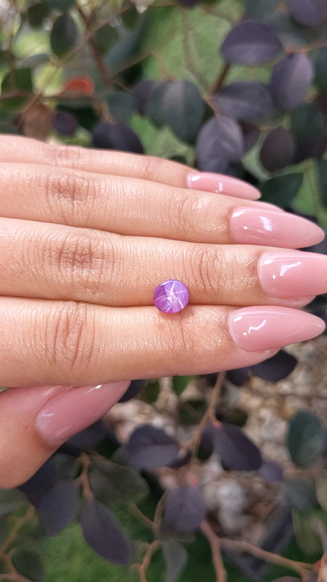 1.83 Ct. Purple Star Sapphire from Ceylon (Sri Lanka) Size Video