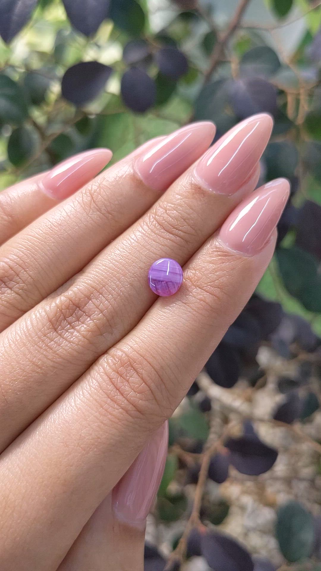 1.83 Ct. Purple Star Sapphire from Ceylon (Sri Lanka) Size Video
