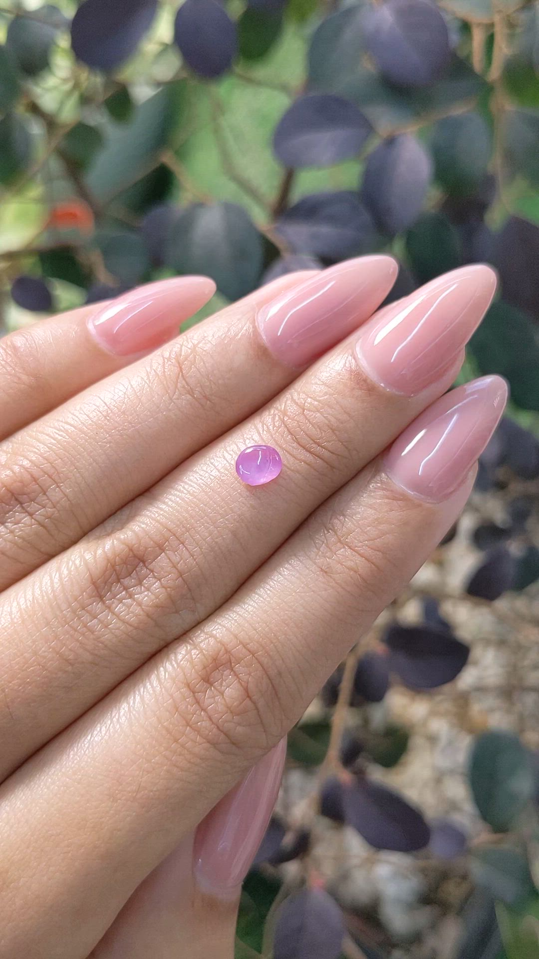 0.56 Ct. Pink Star Sapphire from Ceylon (Sri Lanka) Size Video