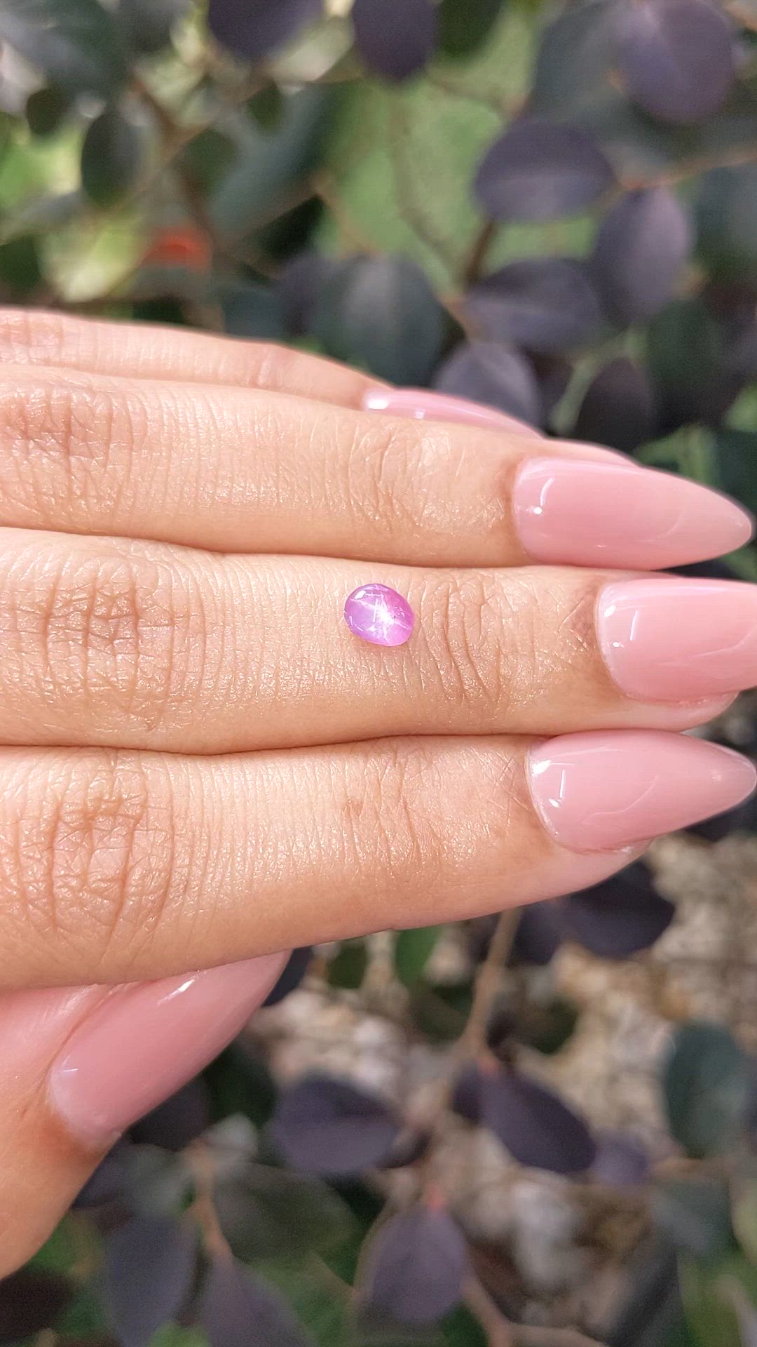 0.56 Ct. Pink Star Sapphire from Ceylon (Sri Lanka) Size Video