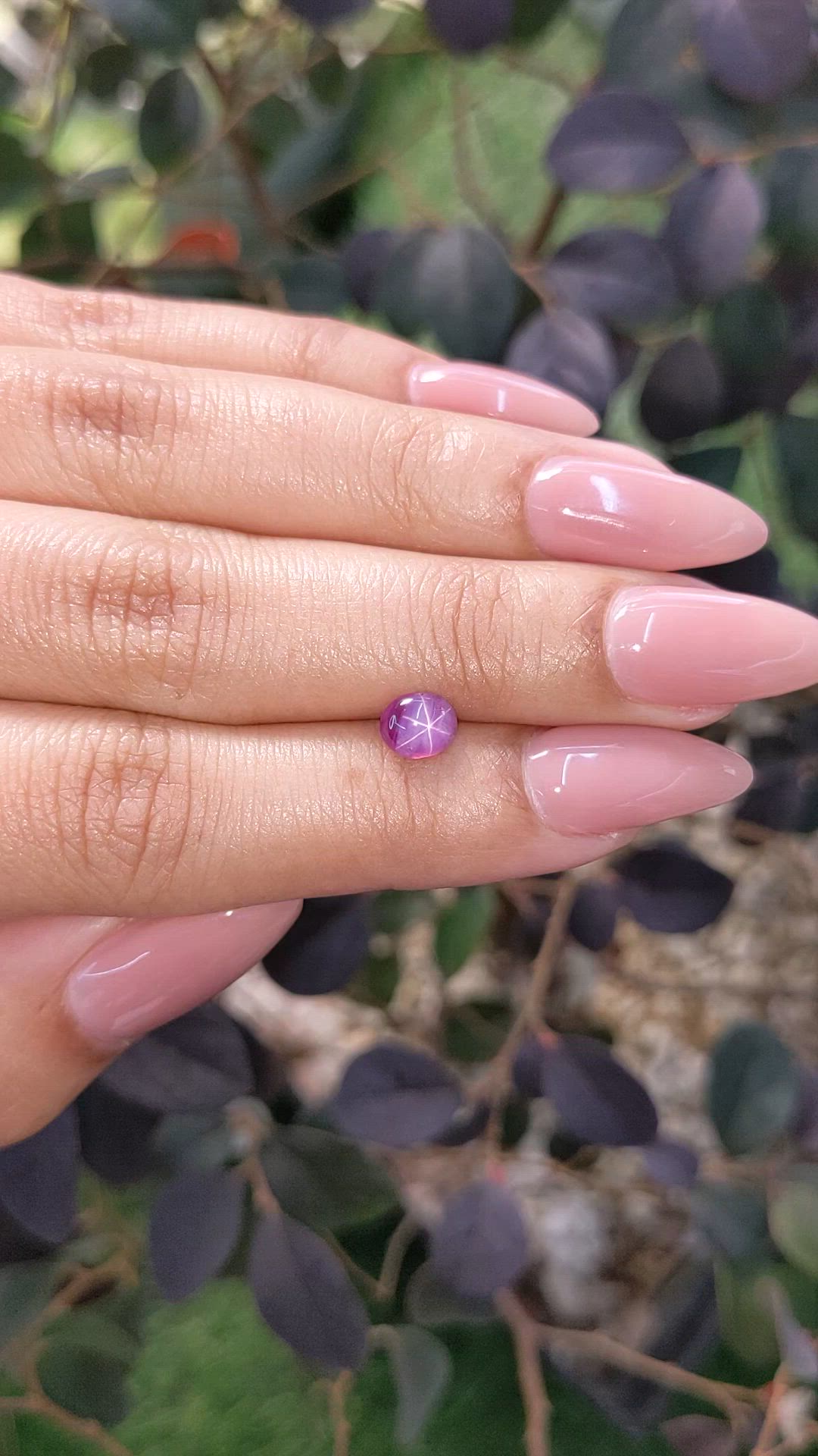 0.95 Ct. Bi Color Star Sapphire from Ceylon (Sri Lanka) Size Video