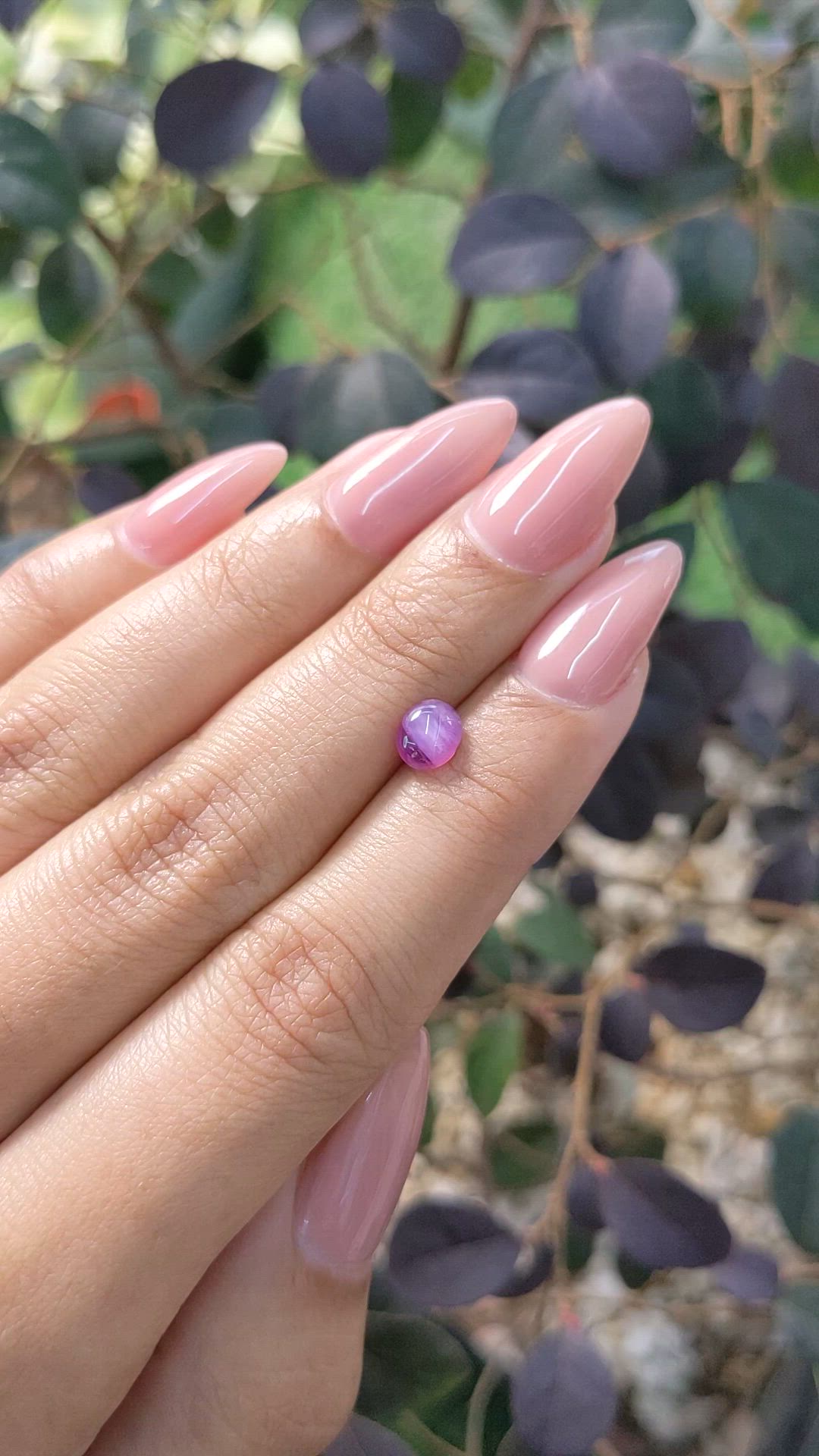 0.95 Ct. Bi Color Star Sapphire from Ceylon (Sri Lanka) Size Video