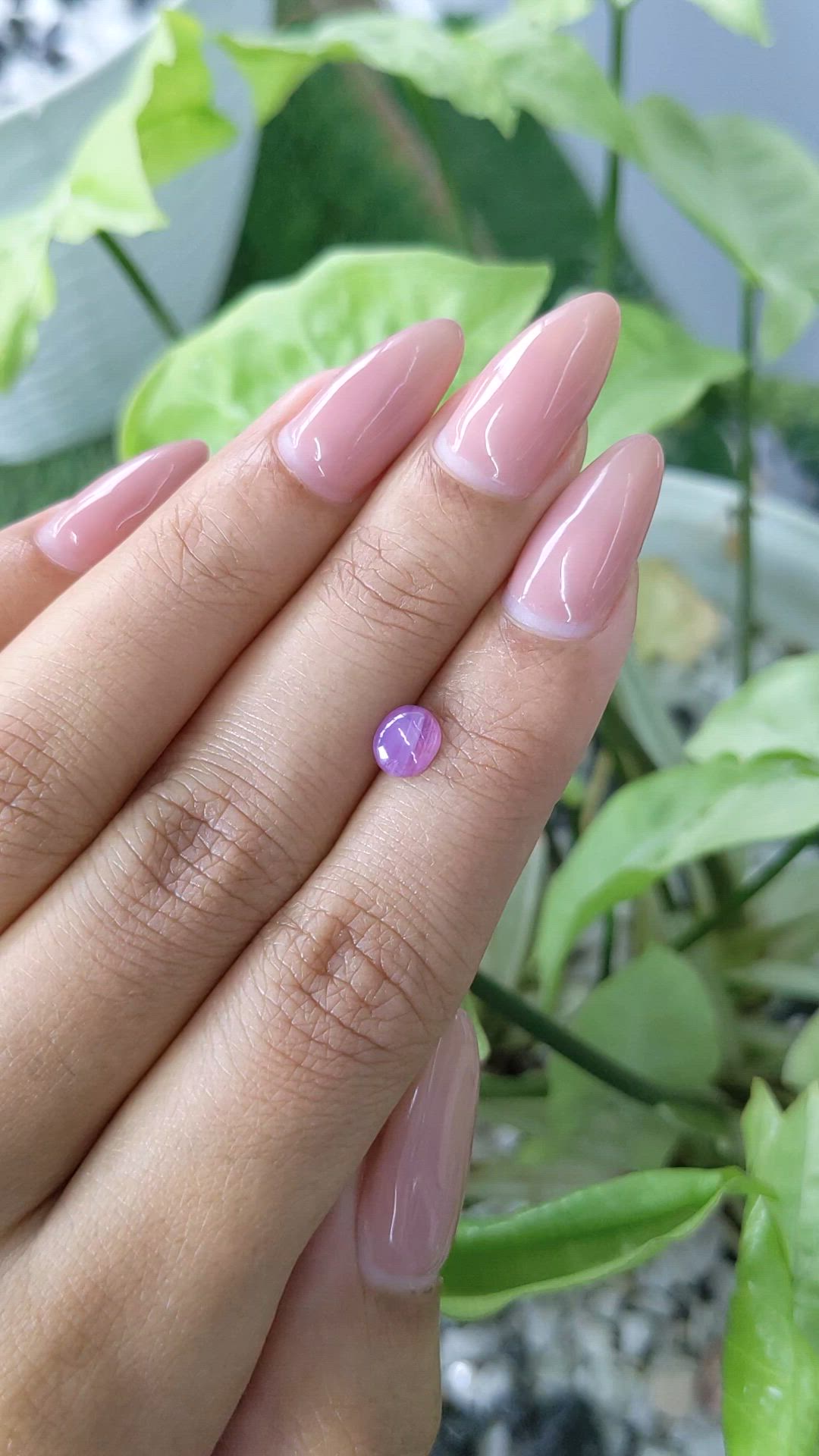 0.83 Ct. Pinkish Purple Star Sapphire from Ceylon (Sri Lanka) Size Video