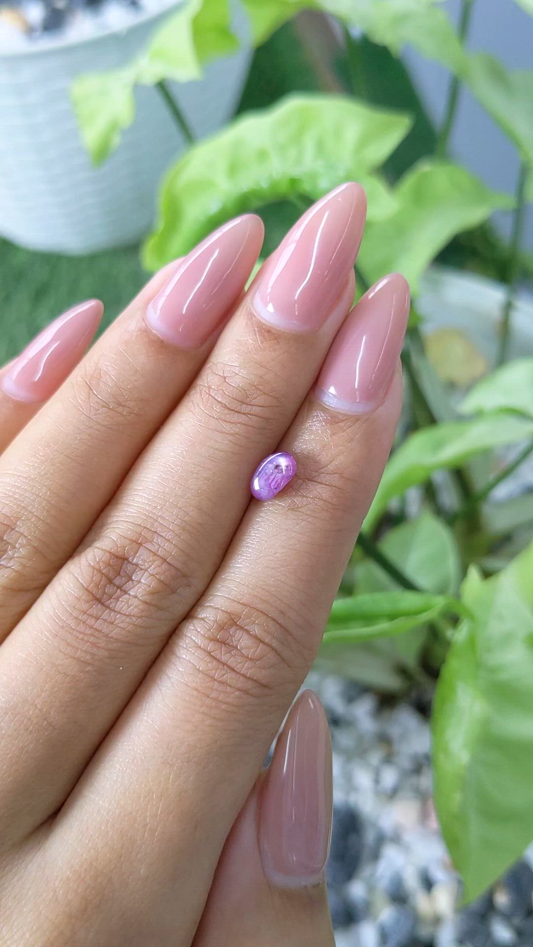 1.28 Ct. Purplish Pink Star Sapphire from Ceylon (Sri Lanka) Size Video