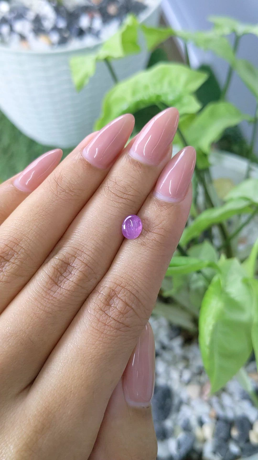 1.35 Ct. Pinkish Purple Star Sapphire from Ceylon (Sri Lanka) Size Video