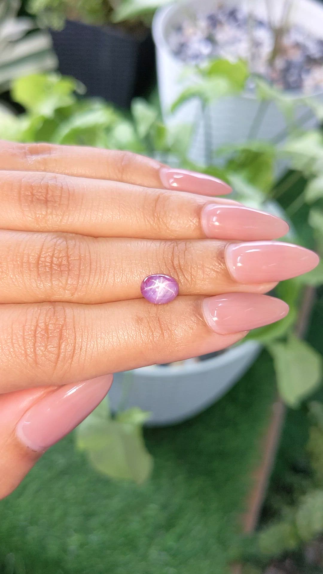 1.62 Ct. Pinkish Purple Star Sapphire from Ceylon (Sri Lanka) Size Video