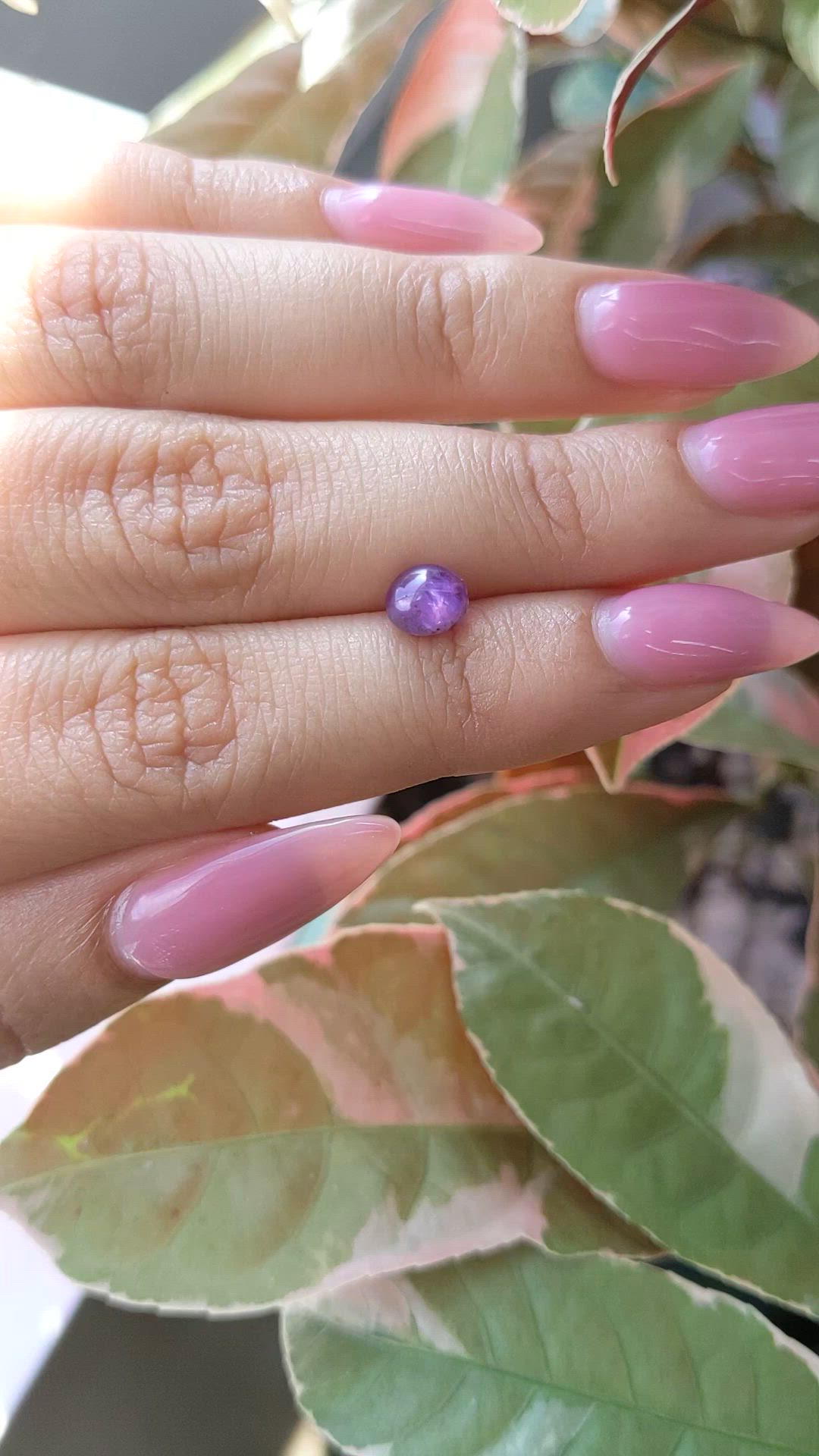 1.96 Ct. Purple Star Sapphire from Ceylon (Sri Lanka) Size Video