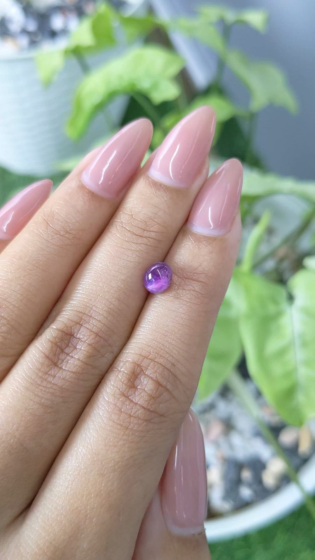 1.96 Ct. Purple Star Sapphire from Ceylon (Sri Lanka) Size Video
