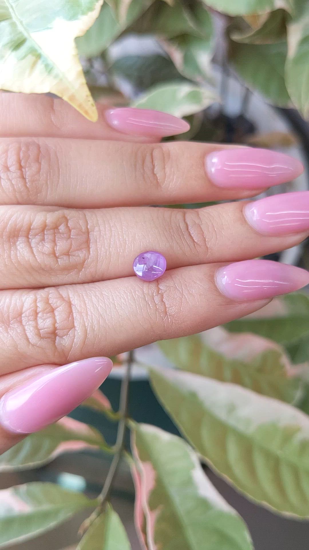1.79 Ct. Purple Star Sapphire from Ceylon (Sri Lanka) Size Video