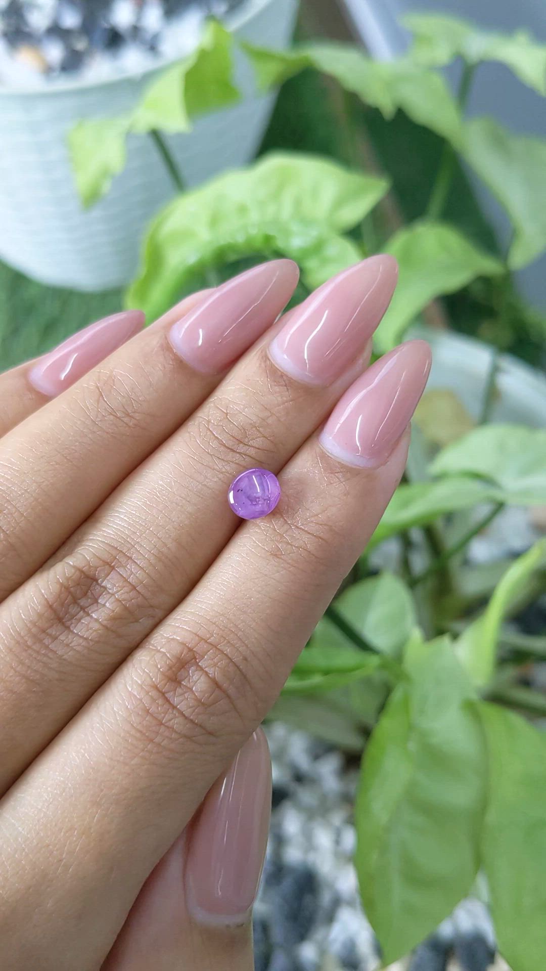 1.79 Ct. Purple Star Sapphire from Ceylon (Sri Lanka) Size Video