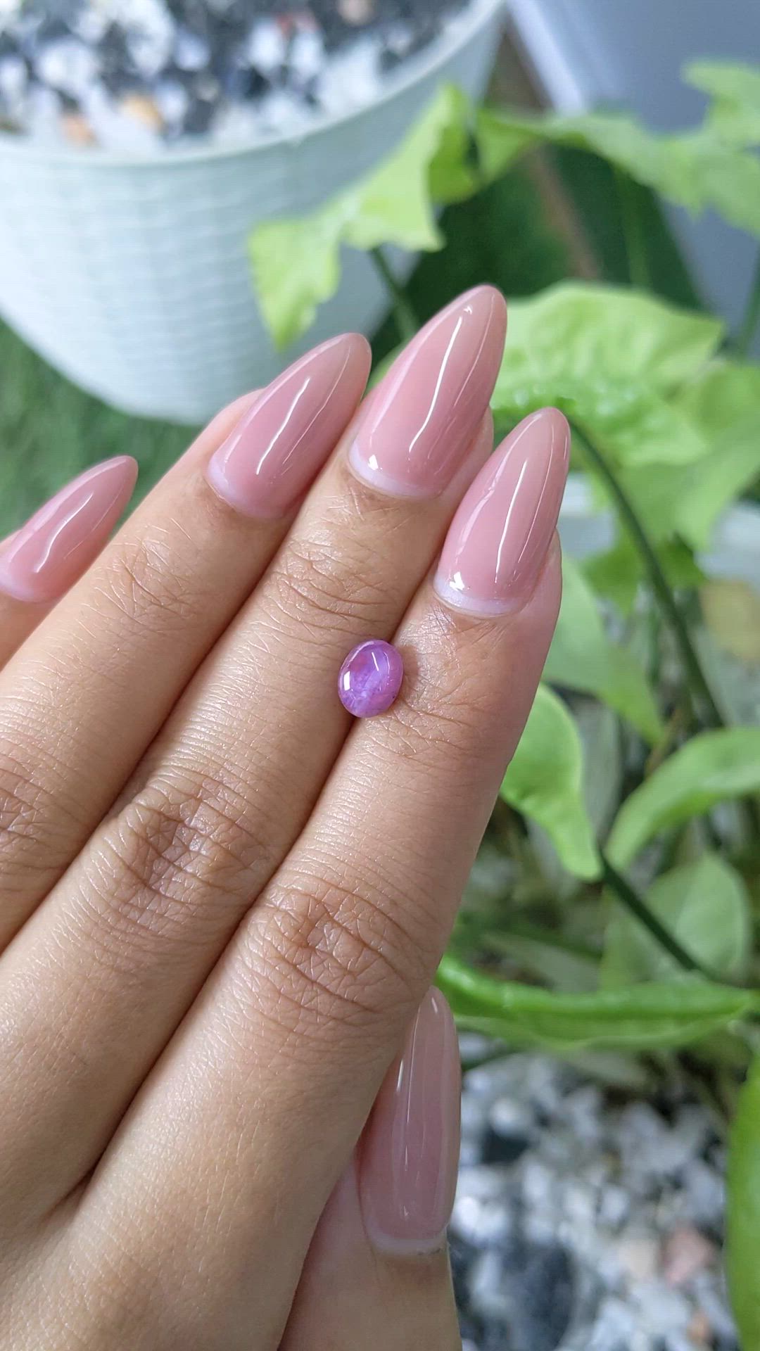 1.22 Ct. Purple Star Sapphire from Ceylon (Sri Lanka) Size Video