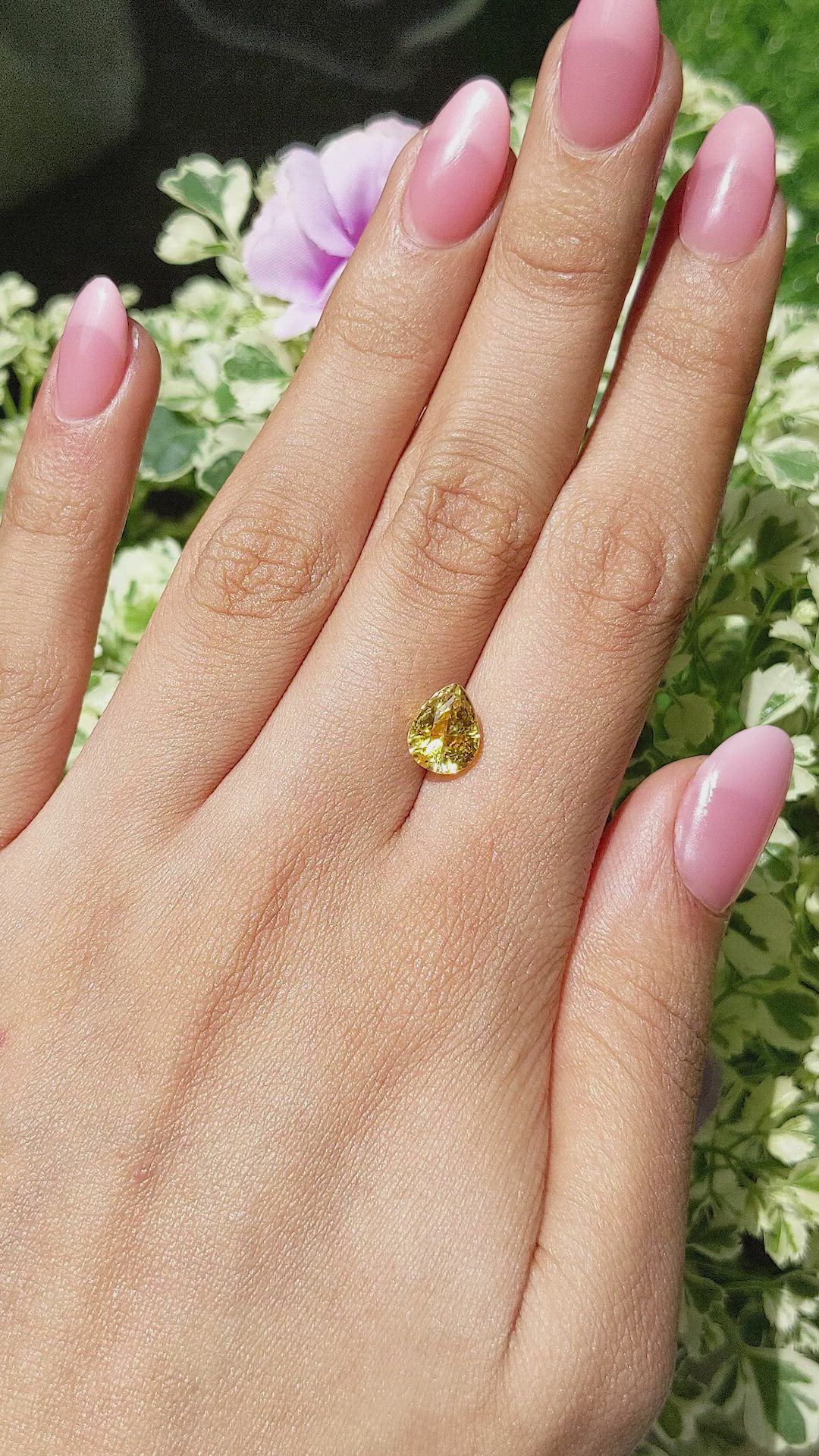 3.00 Ct. Yellow Sapphire from Ceylon (Sri Lanka) Size Video