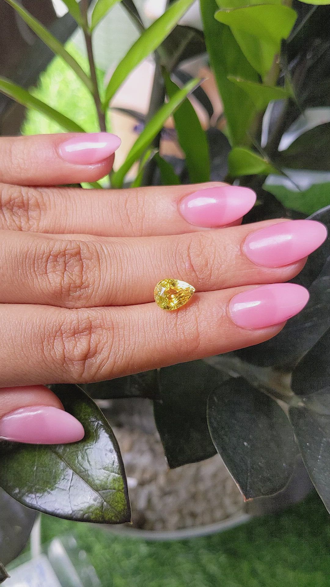 3.00 Ct. Yellow Sapphire from Ceylon (Sri Lanka) Size Video