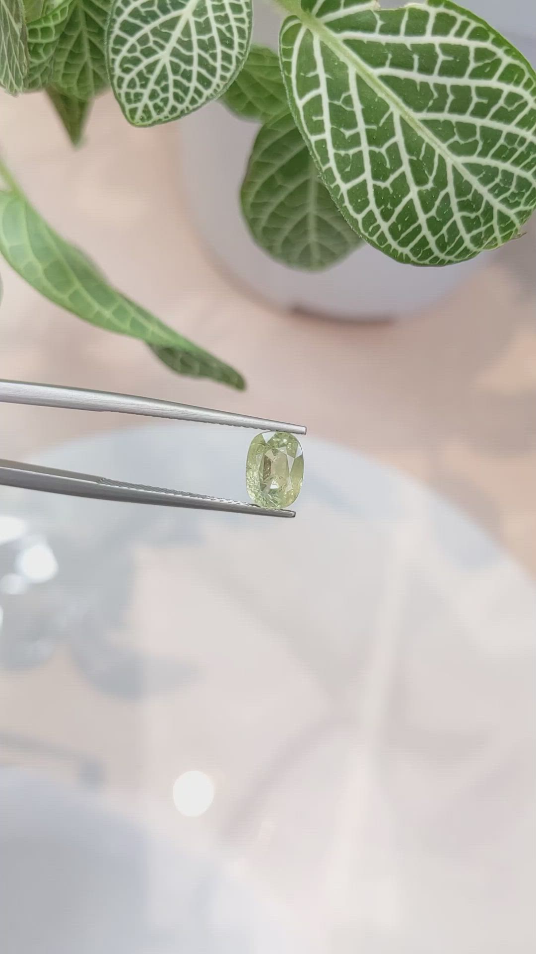 2.19 Ct. Yellowish Green Sapphire from Ceylon (Sri Lanka) Size Video