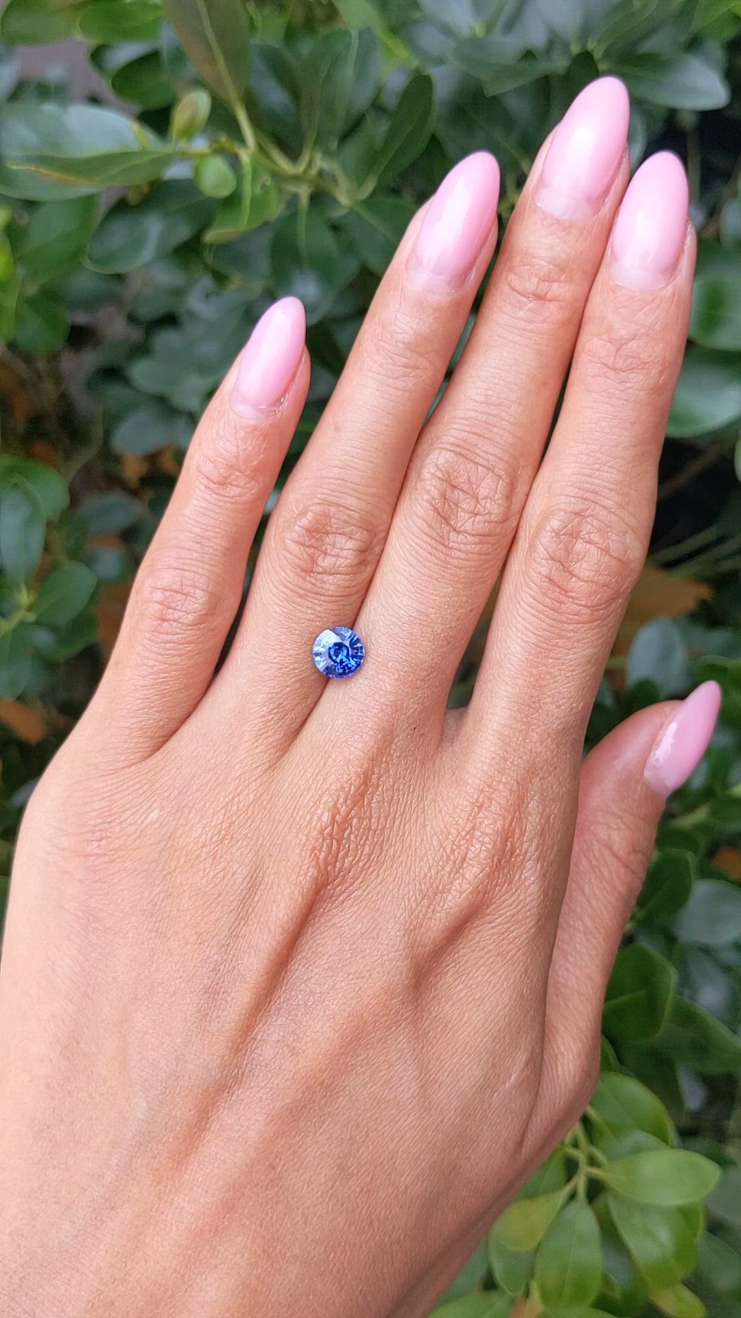 1.76 Ct. Blue Sapphire from Ceylon (Sri Lanka) Size Video
