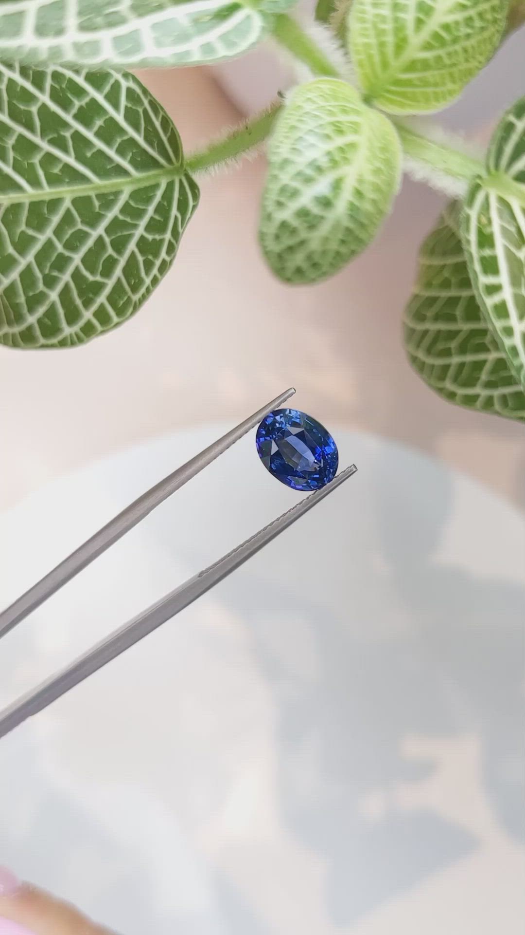 3.11 Ct. Blue Sapphire from Ceylon (Sri Lanka) Size Video