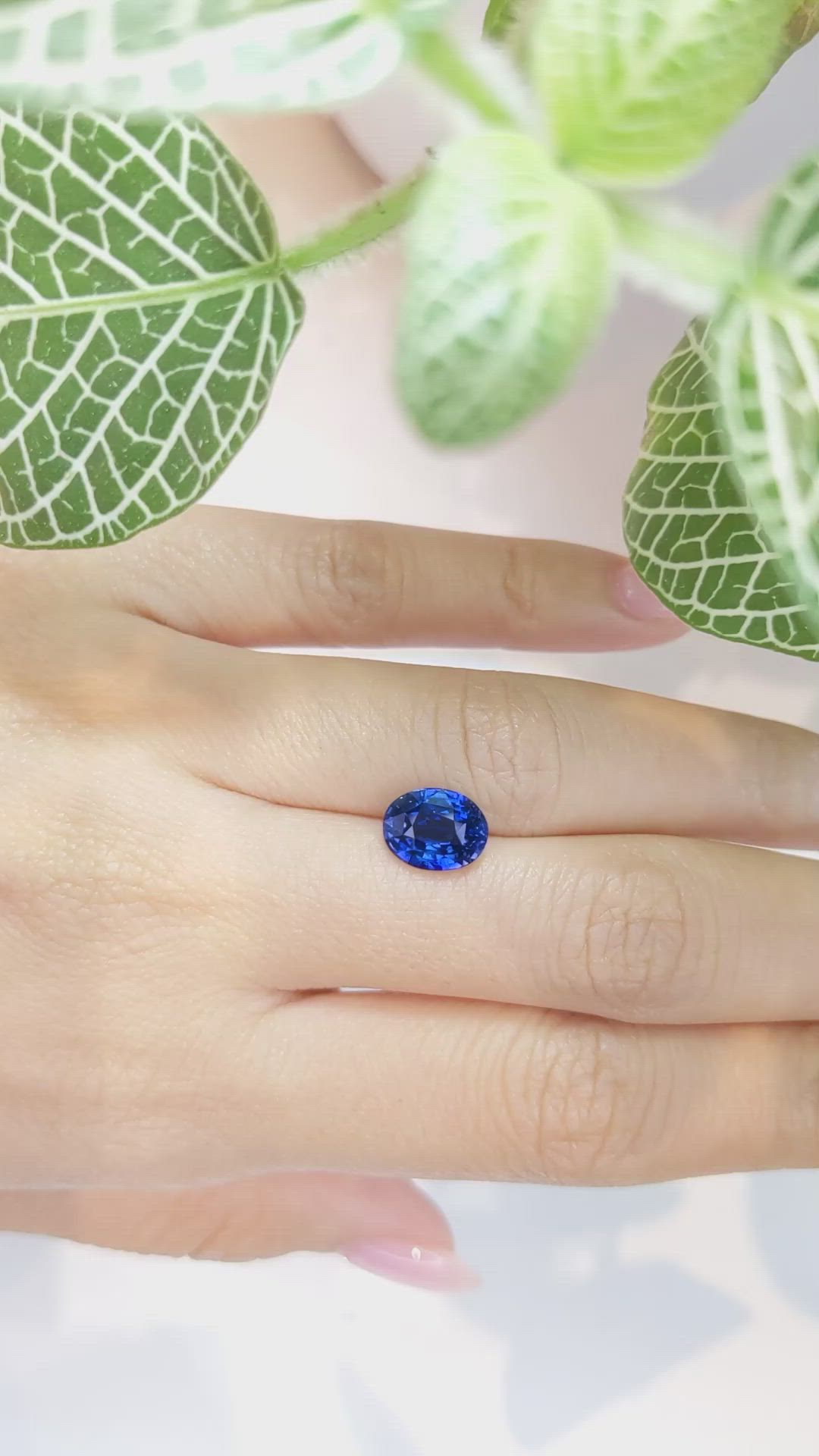 3.11 Ct. Blue Sapphire from Ceylon (Sri Lanka) Size Video