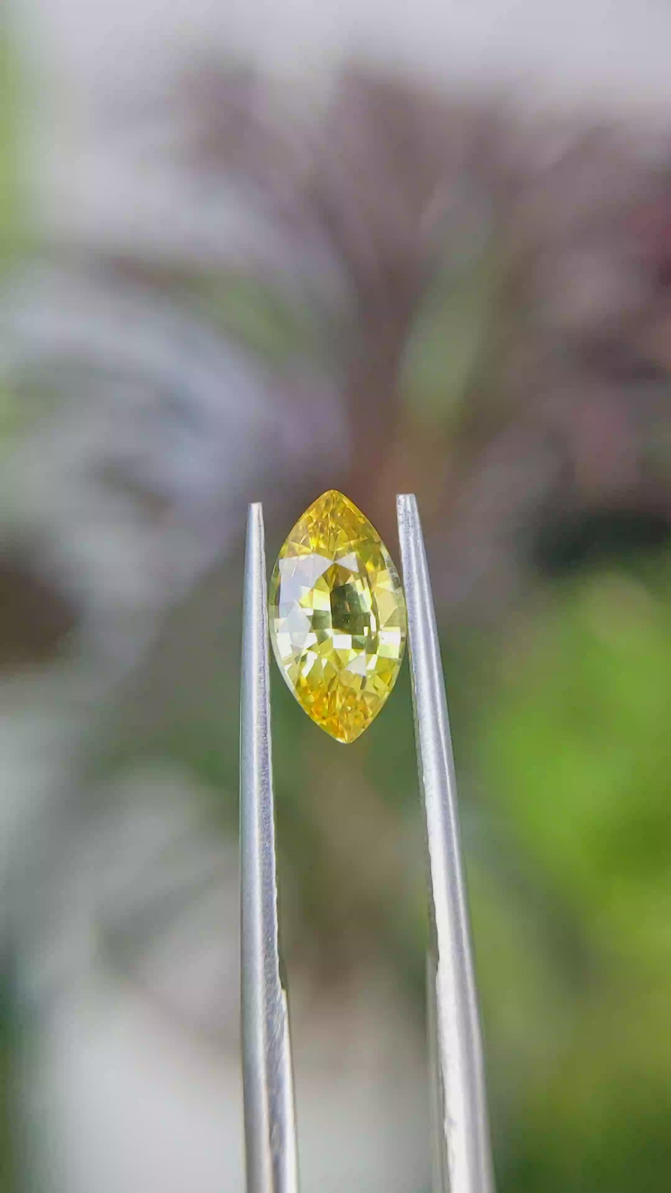1.51 Ct. Yellow Sapphire from Ceylon (Sri Lanka) Size Video
