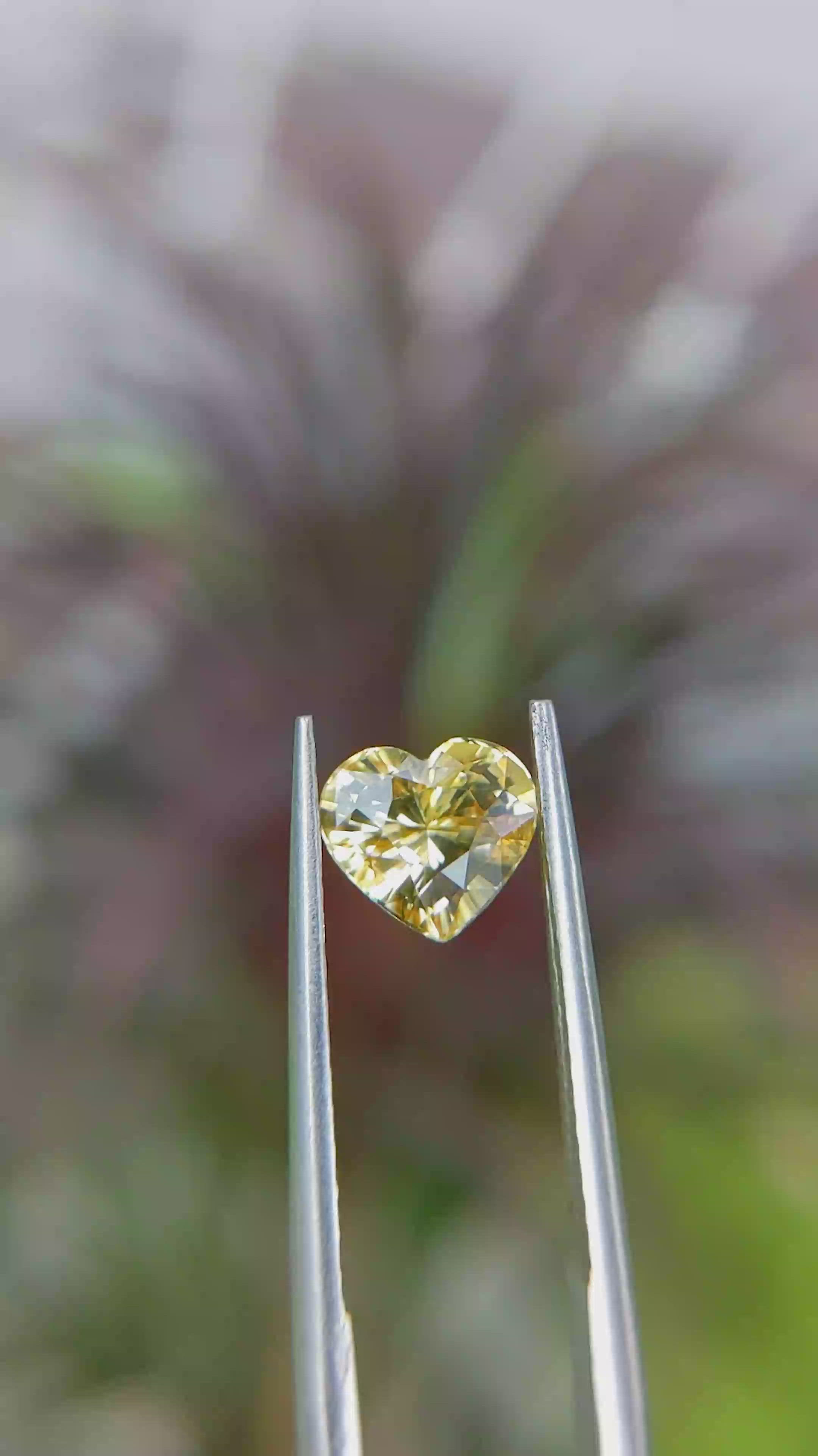 1.51 Ct. Yellow Sapphire from Ceylon (Sri Lanka) Size Video