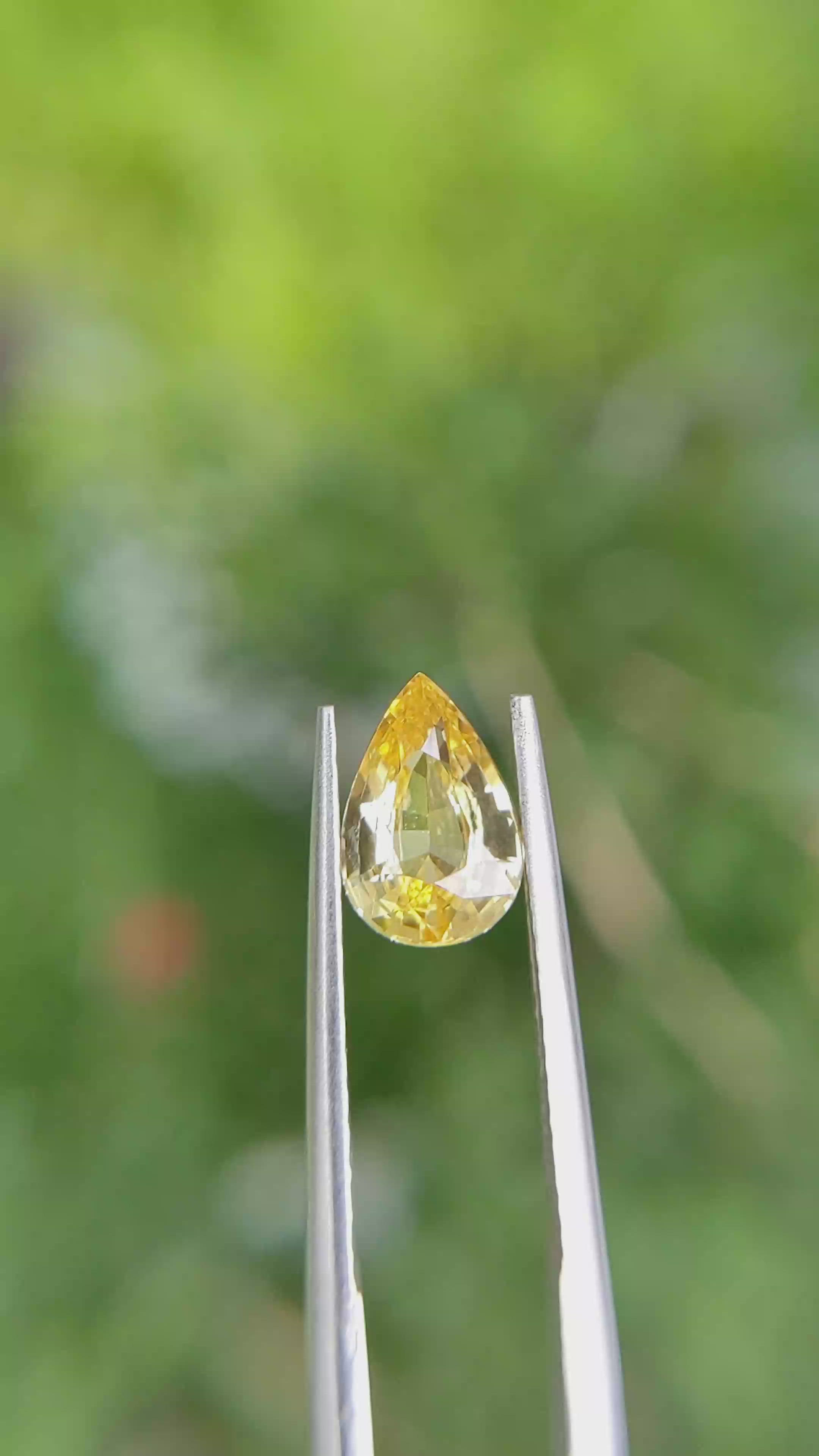 1.53 Ct. Yellow Sapphire from Ceylon (Sri Lanka) Size Video