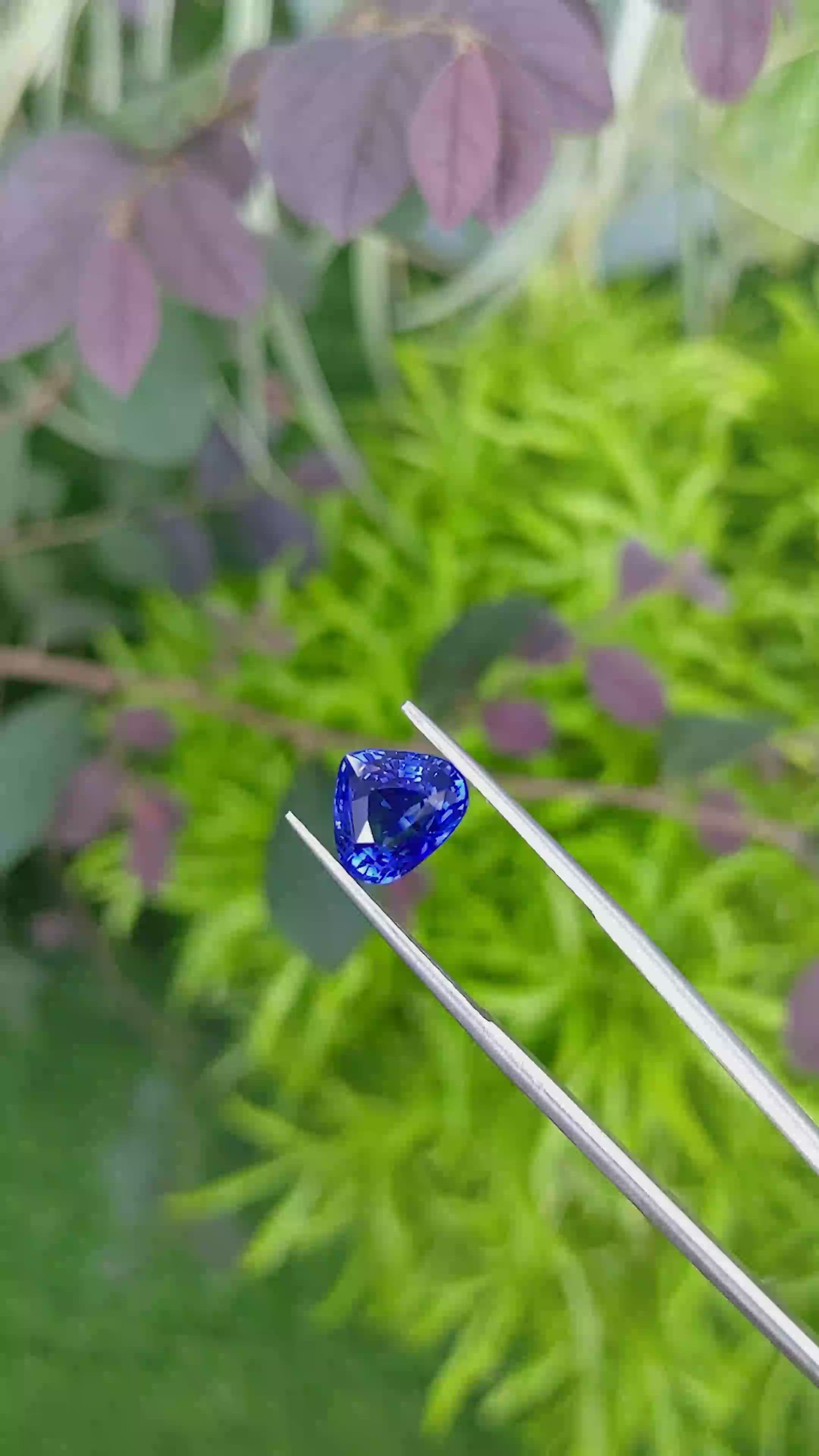 3.03 Ct. Blue Sapphire from Ceylon (Sri Lanka) Size Video