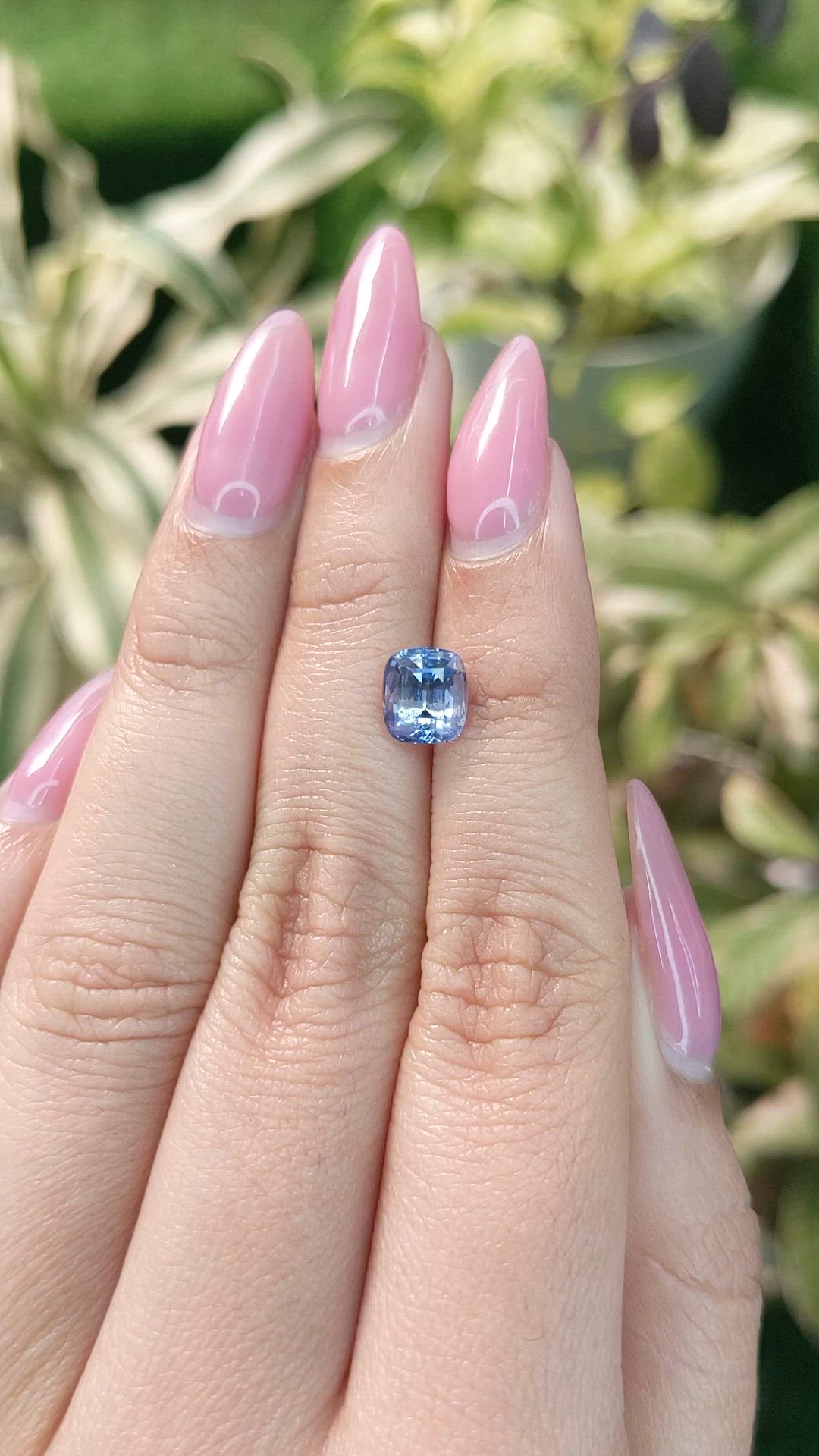 2.03 Ct. Bi Color Sapphire from Ceylon (Sri Lanka) Size Video