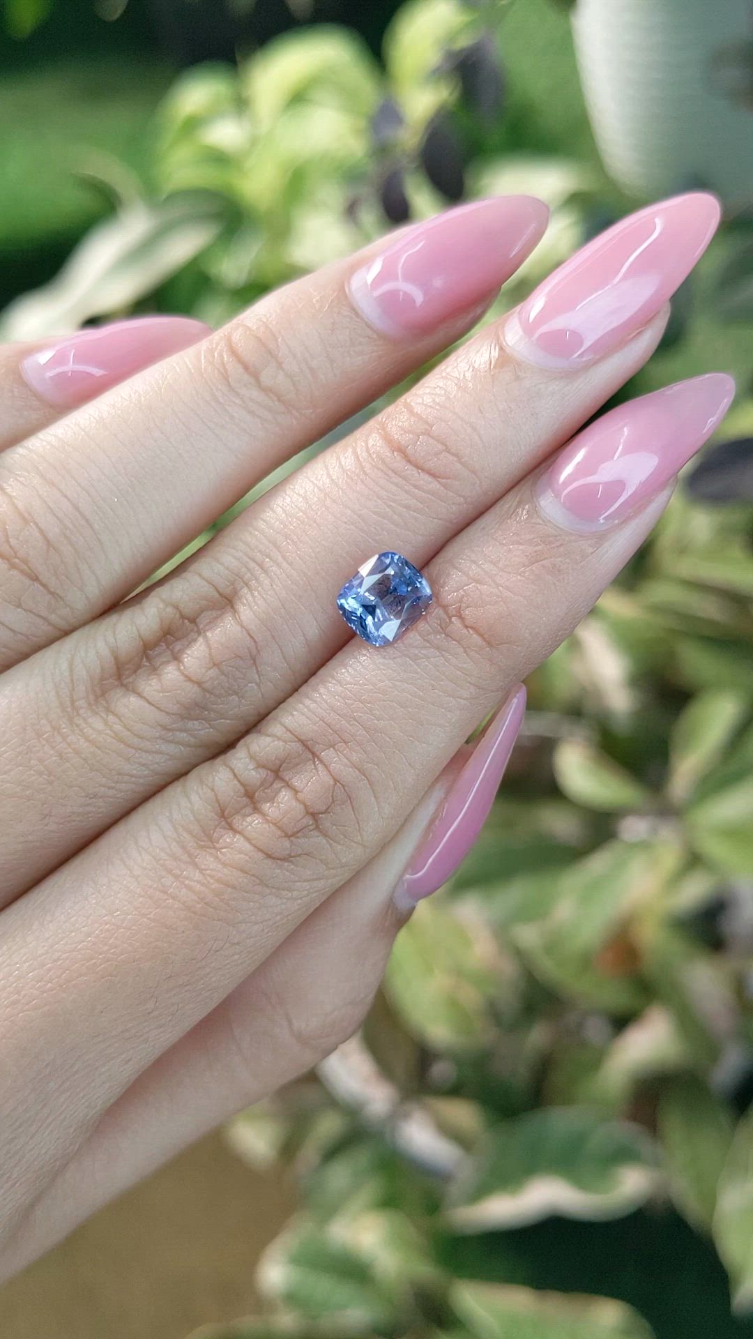 2.03 Ct. Bi Color Sapphire from Ceylon (Sri Lanka) Size Video