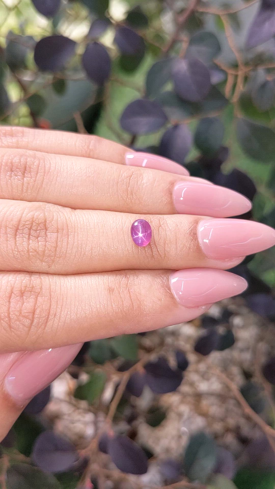 0.91 Ct. Purplish Pink Star Sapphire from Ceylon (Sri Lanka) Size Video
