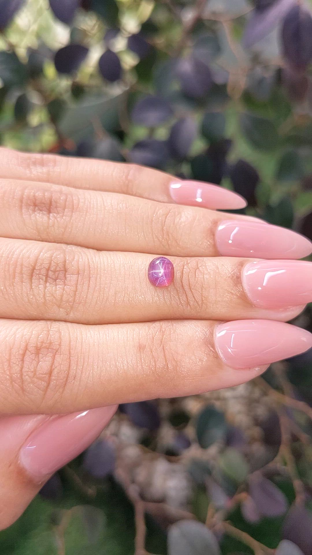 0.90 Ct. Purplish Pink Star Sapphire from Ceylon (Sri Lanka) Size Video