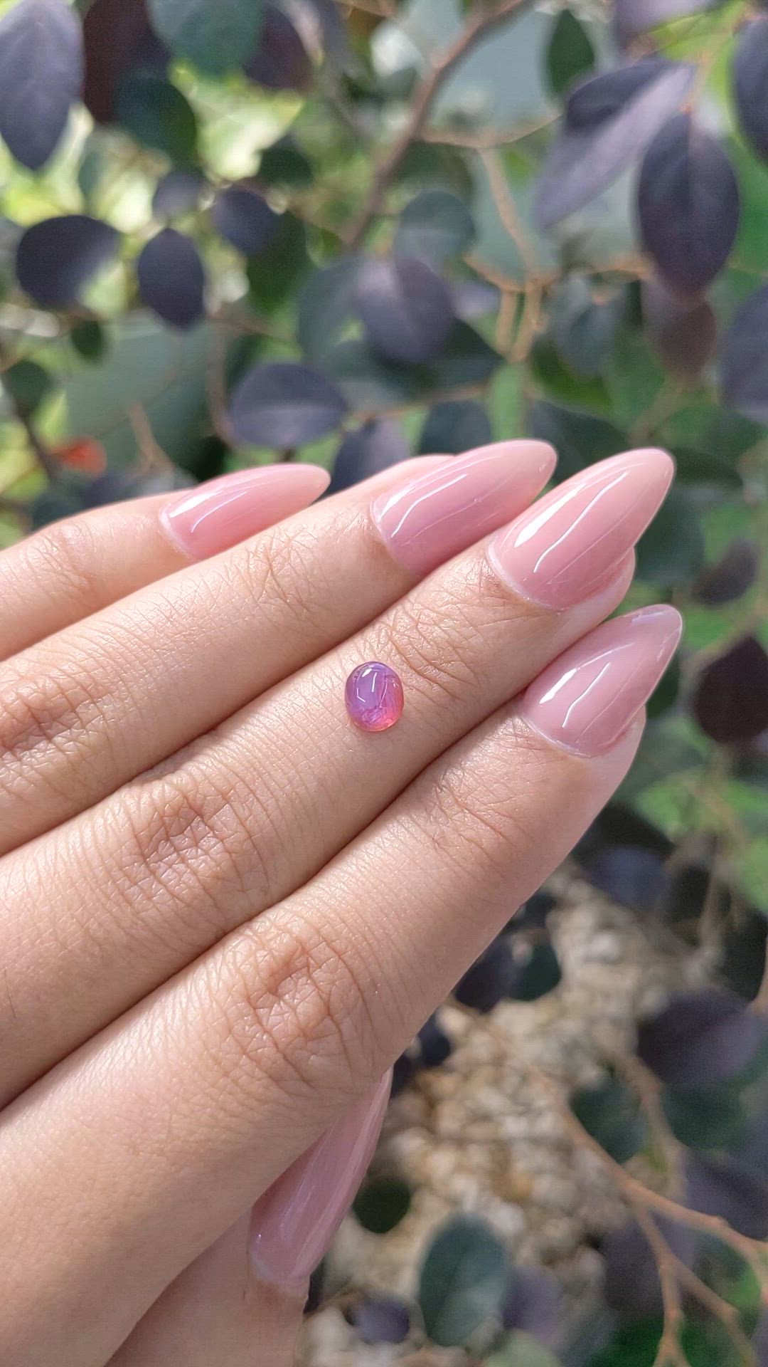 0.90 Ct. Purplish Pink Star Sapphire from Ceylon (Sri Lanka) Size Video