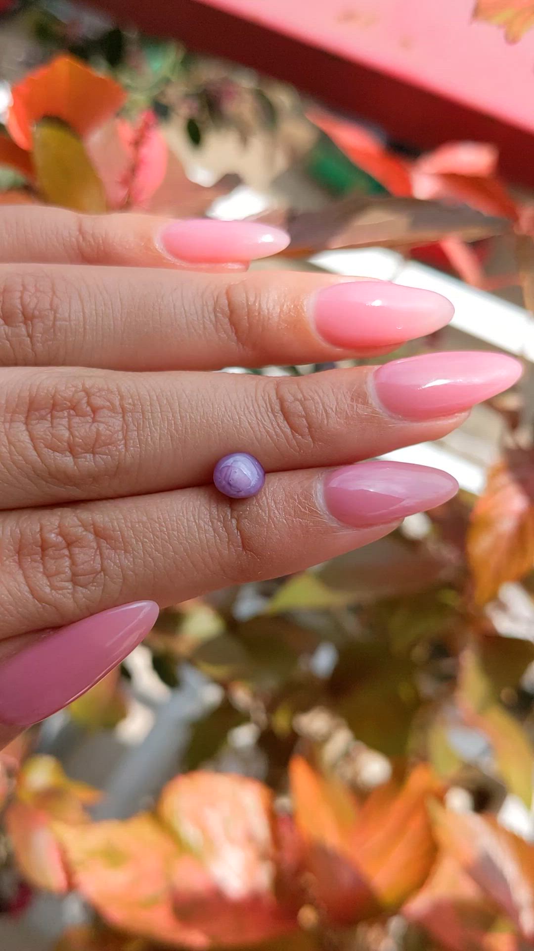 1.76 Ct. Purple Star Sapphire from Ceylon (Sri Lanka) Size Video
