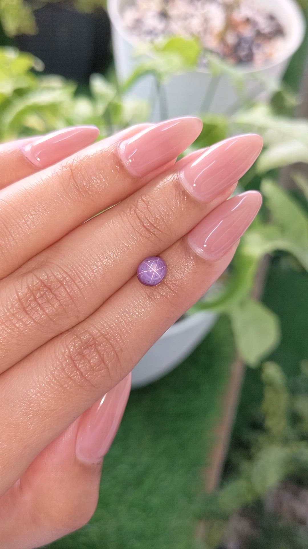 1.76 Ct. Purple Star Sapphire from Ceylon (Sri Lanka) Size Video