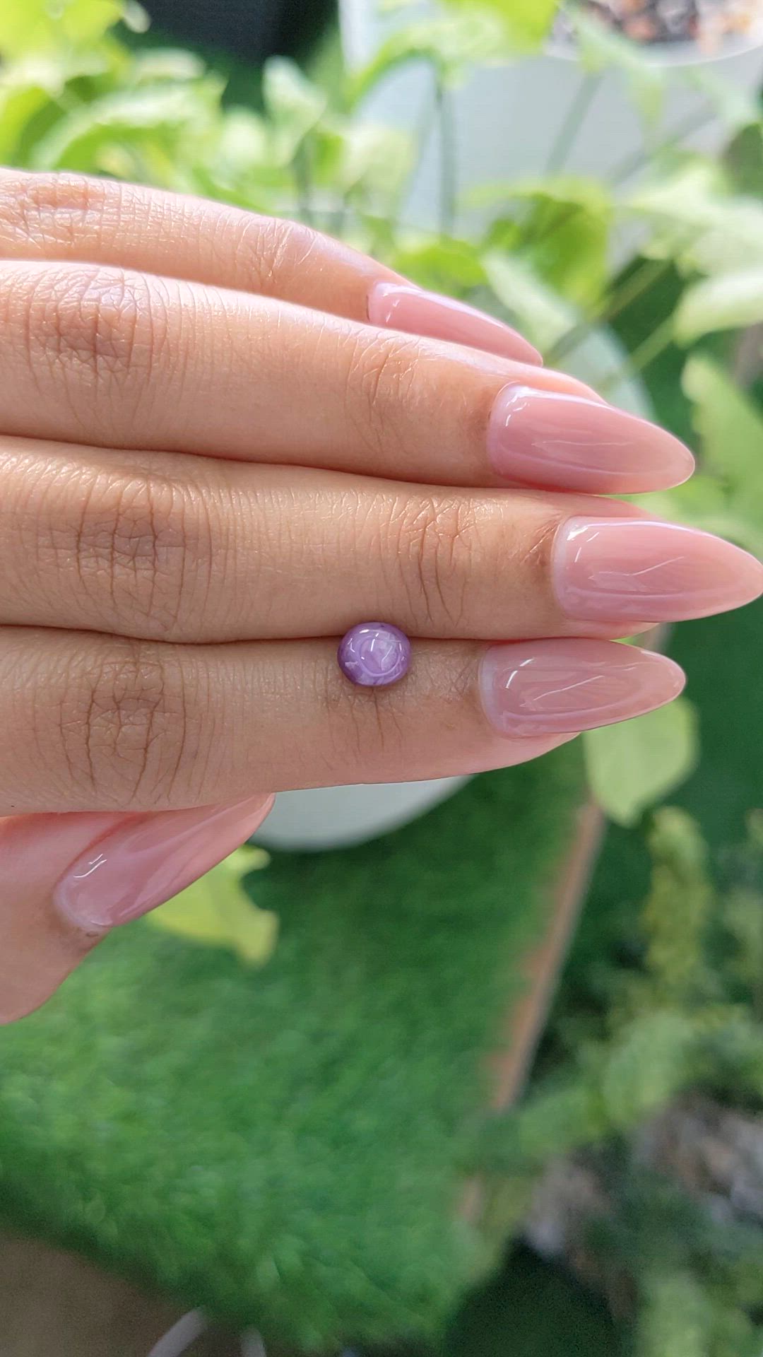 1.76 Ct. Purple Star Sapphire from Ceylon (Sri Lanka) Size Video