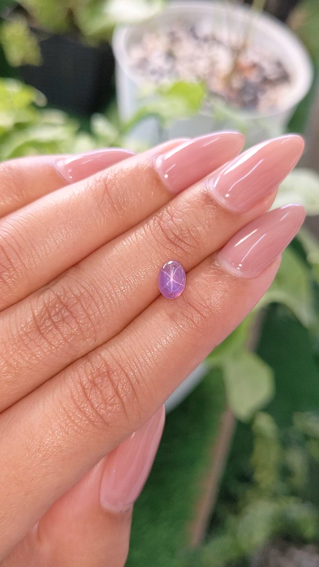 1.07 Ct. Purple Star Sapphire from Ceylon (Sri Lanka) Size Video