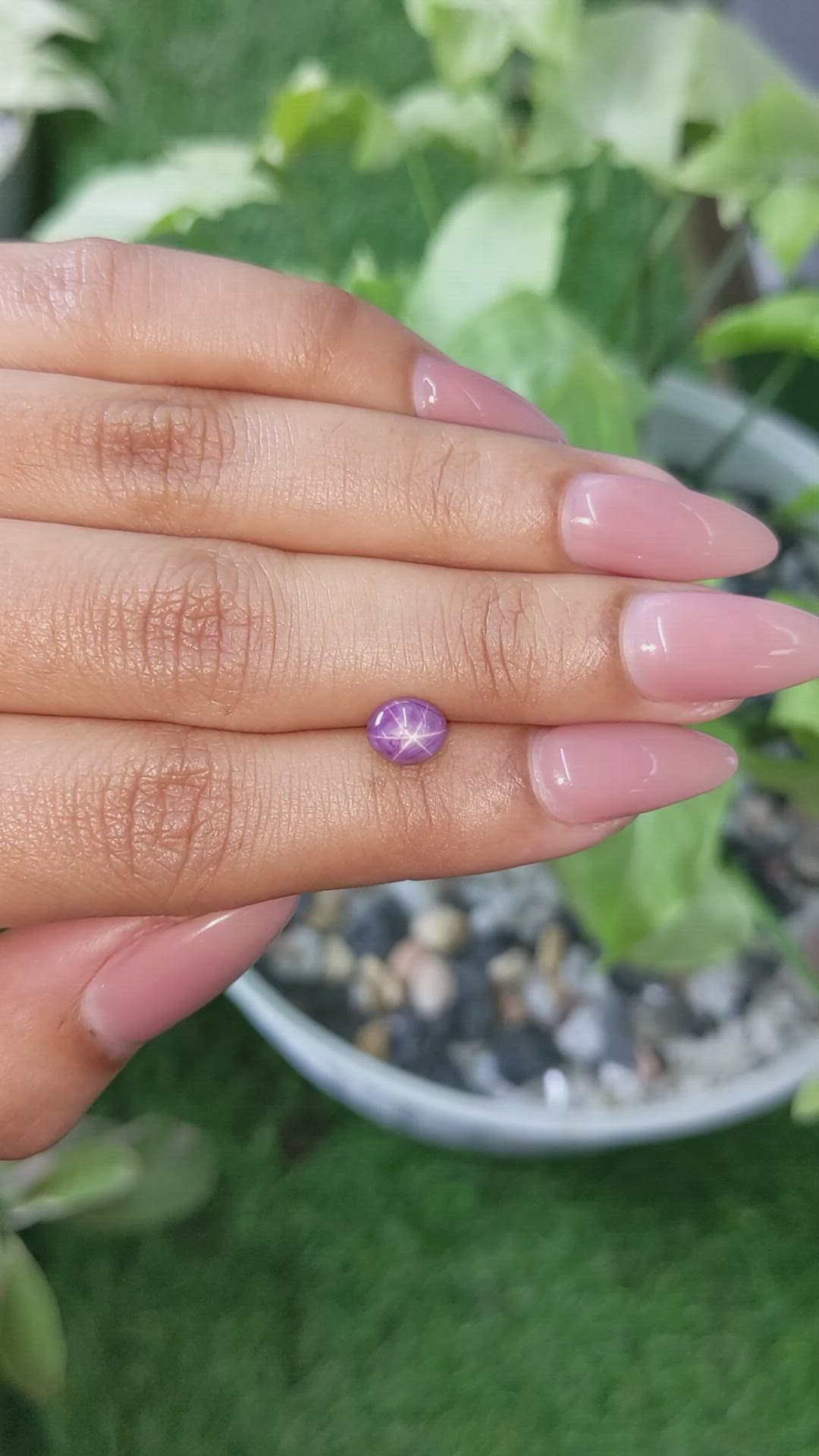 2.14 Ct. Purple Star Sapphire from Ceylon (Sri Lanka) Size Video
