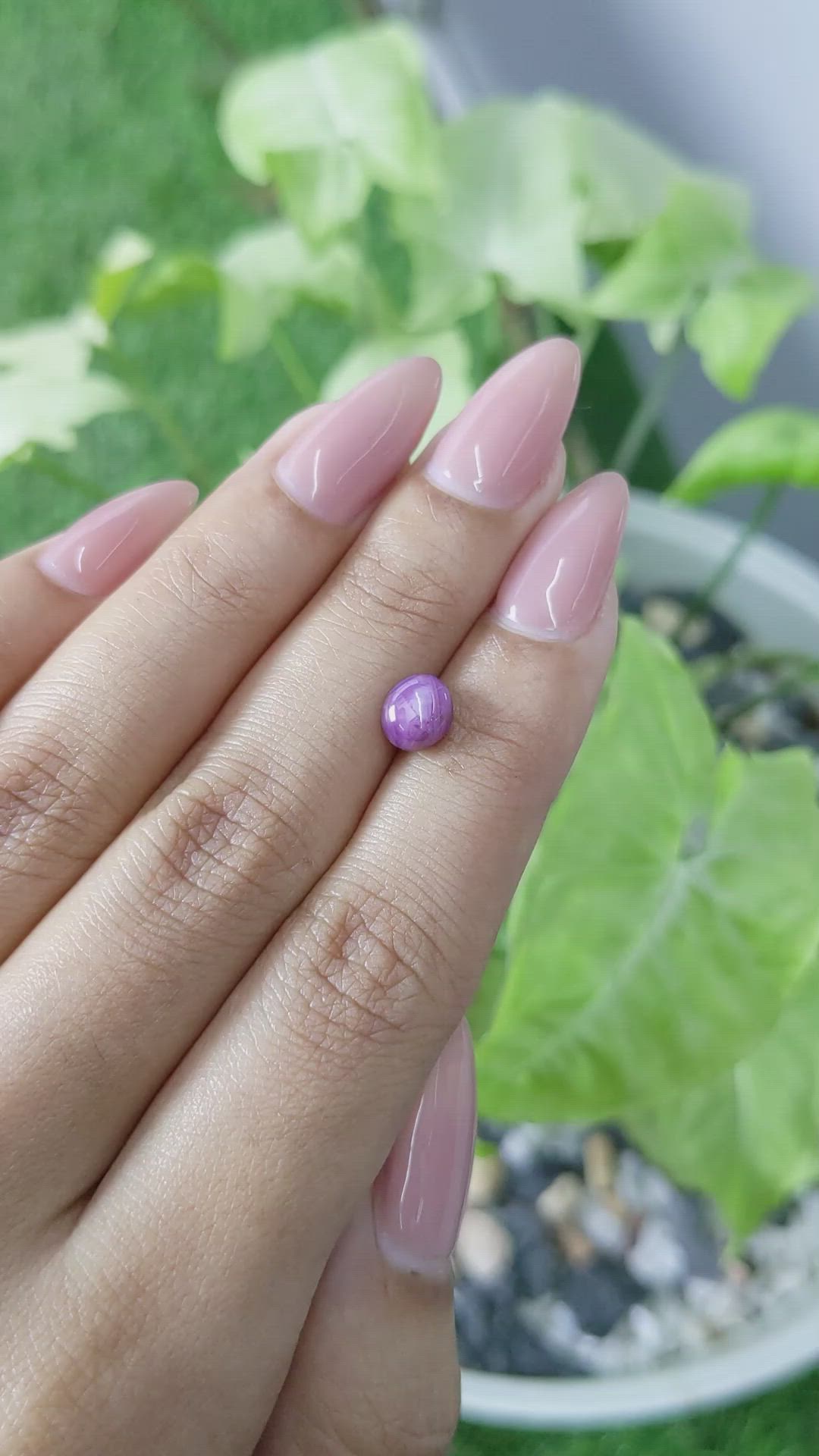 2.14 Ct. Purple Star Sapphire from Ceylon (Sri Lanka) Size Video