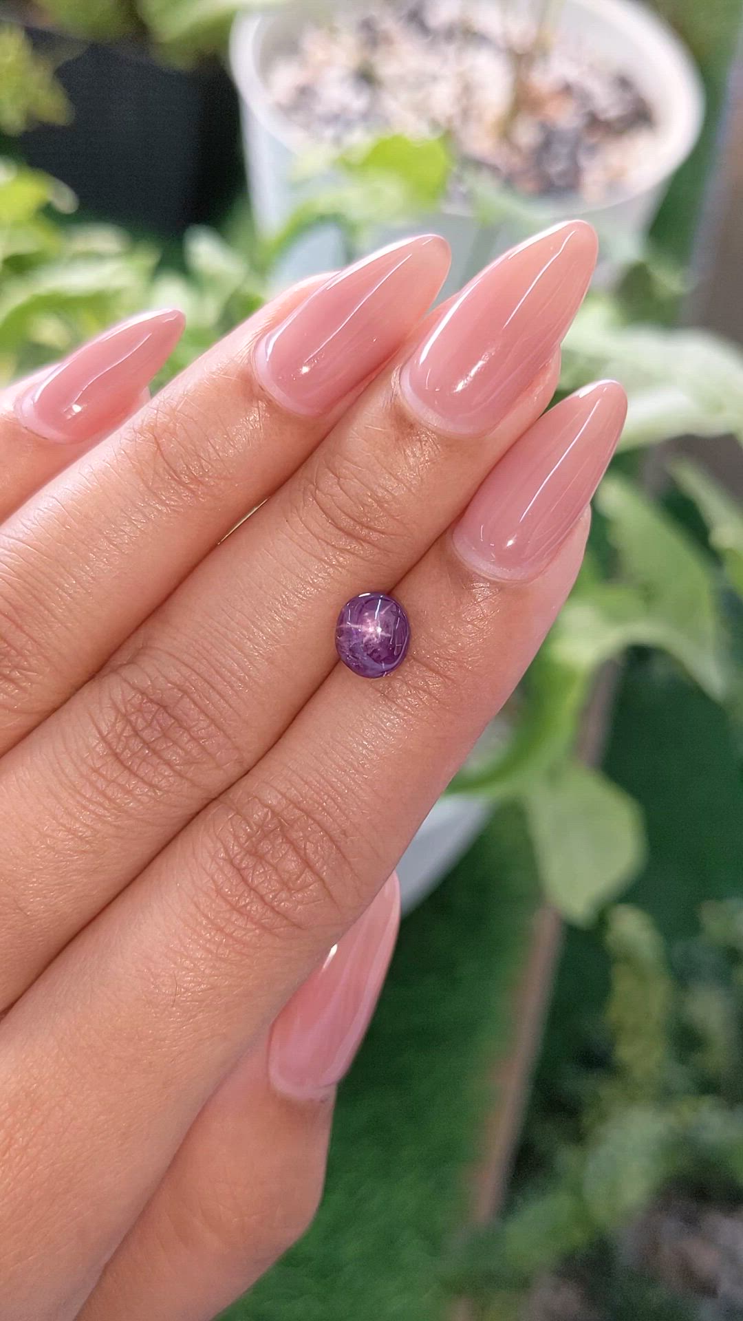 1.94 Ct. Purple Star Sapphire from Ceylon (Sri Lanka) Size Video