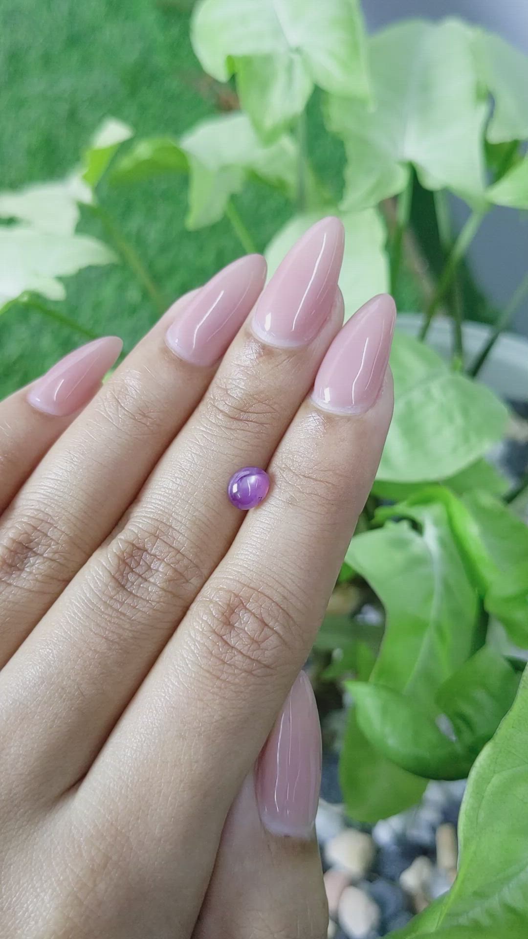 1.00 Ct. Pinkish Purple Star Sapphire from Ceylon (Sri Lanka) Size Video