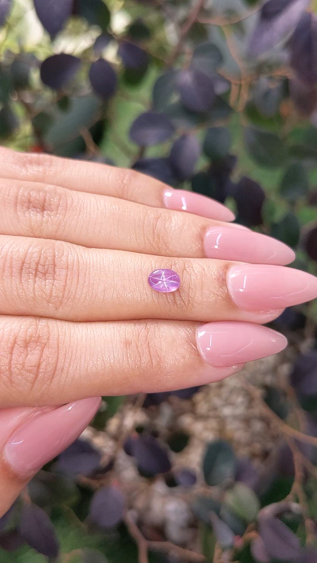 0.74 Ct. Pinkish Purple Star Sapphire from Ceylon (Sri Lanka) Size Video