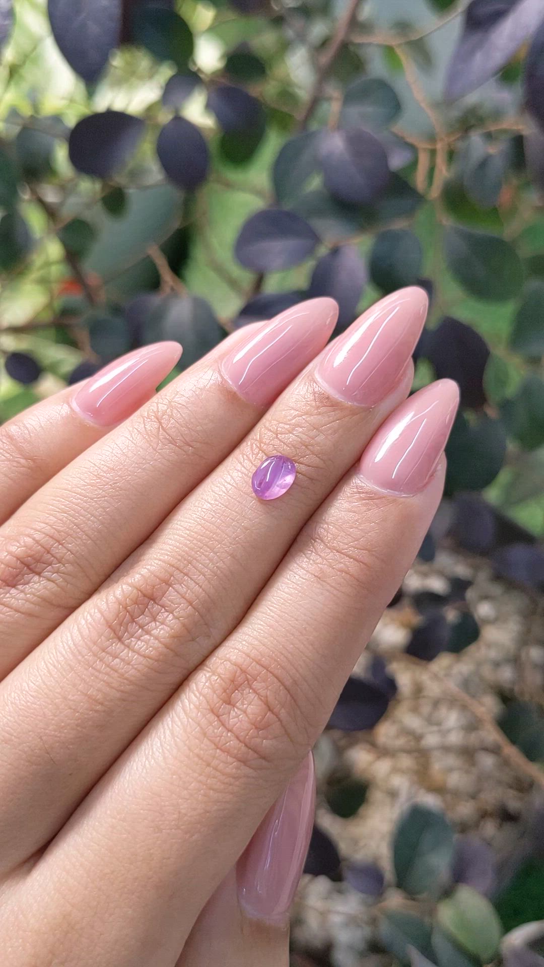 0.74 Ct. Pinkish Purple Star Sapphire from Ceylon (Sri Lanka) Size Video