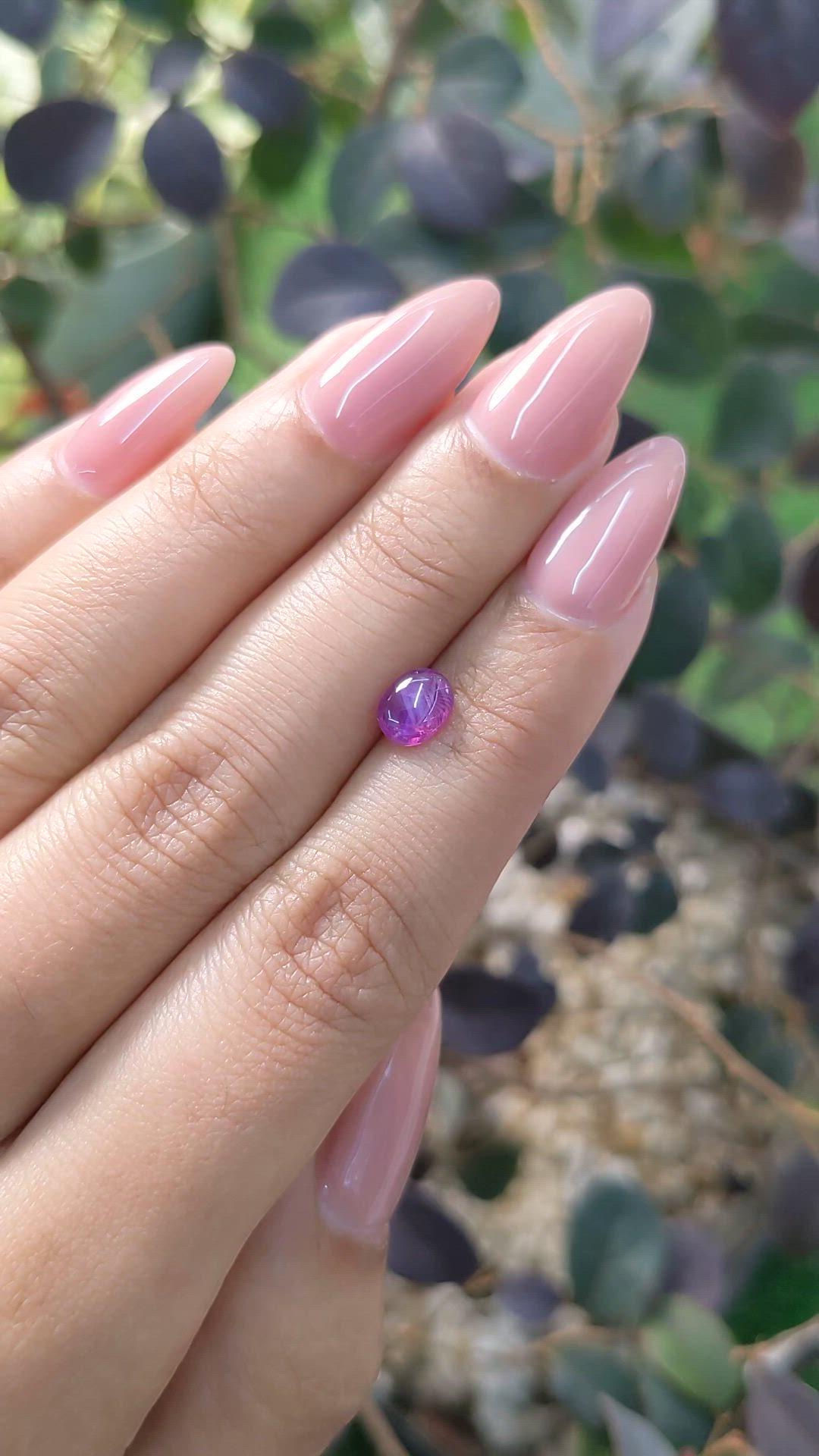 1.26 Ct. Pinkish Purple Star Sapphire from Ceylon (Sri Lanka) Size Video