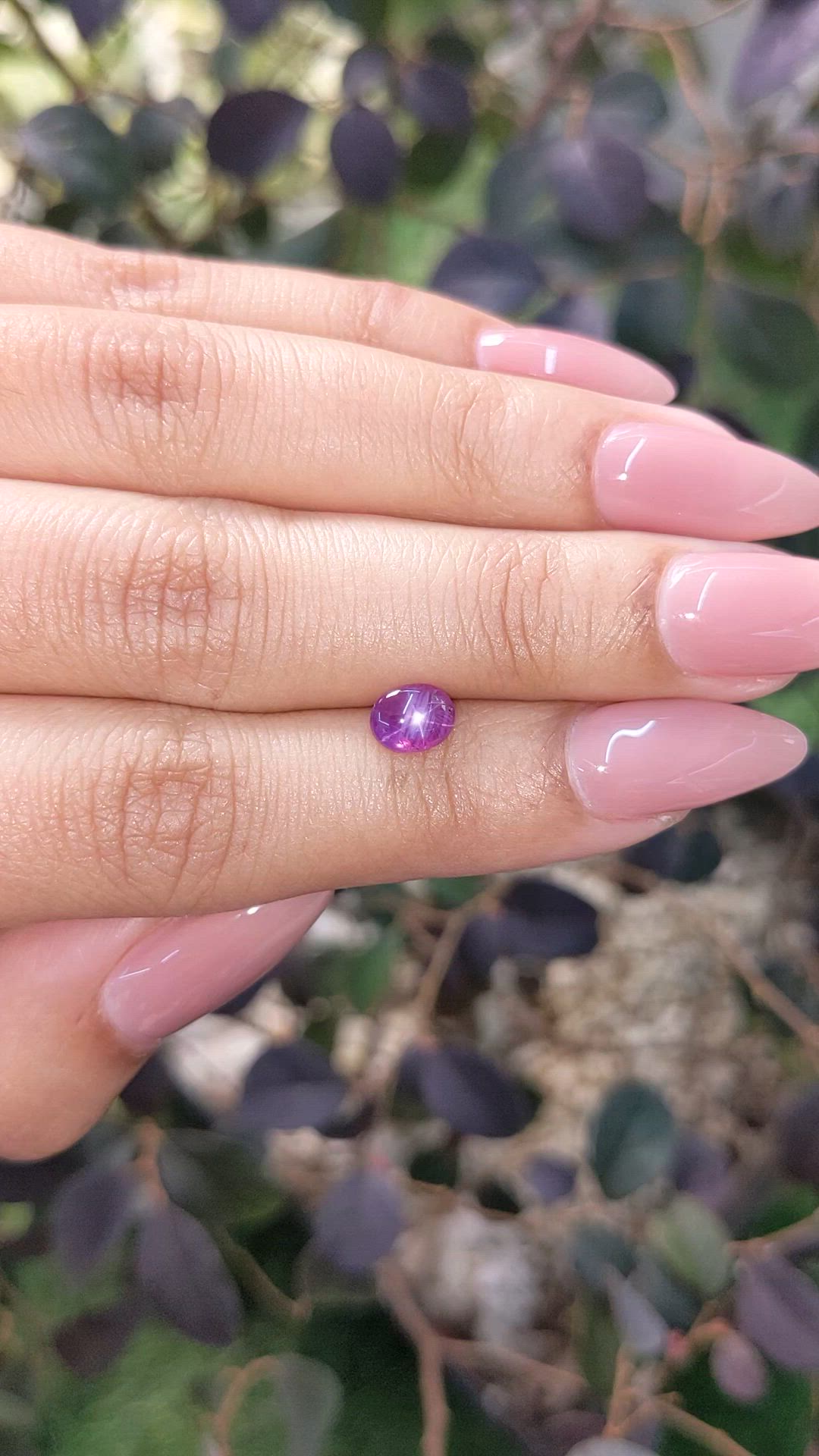 1.26 Ct. Pinkish Purple Star Sapphire from Ceylon (Sri Lanka) Size Video