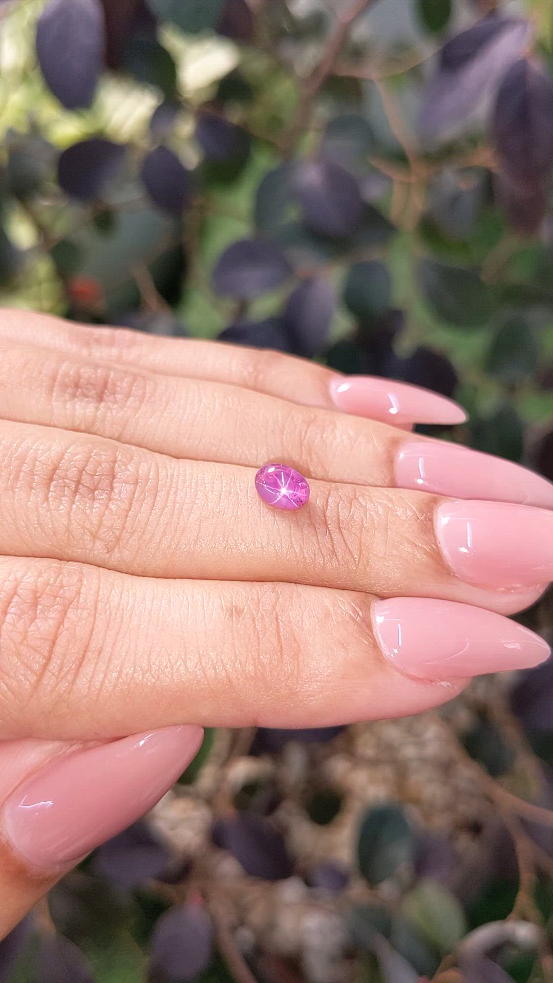 0.87 Ct. Purplish Pink Star Sapphire from Ceylon (Sri Lanka) Size Video