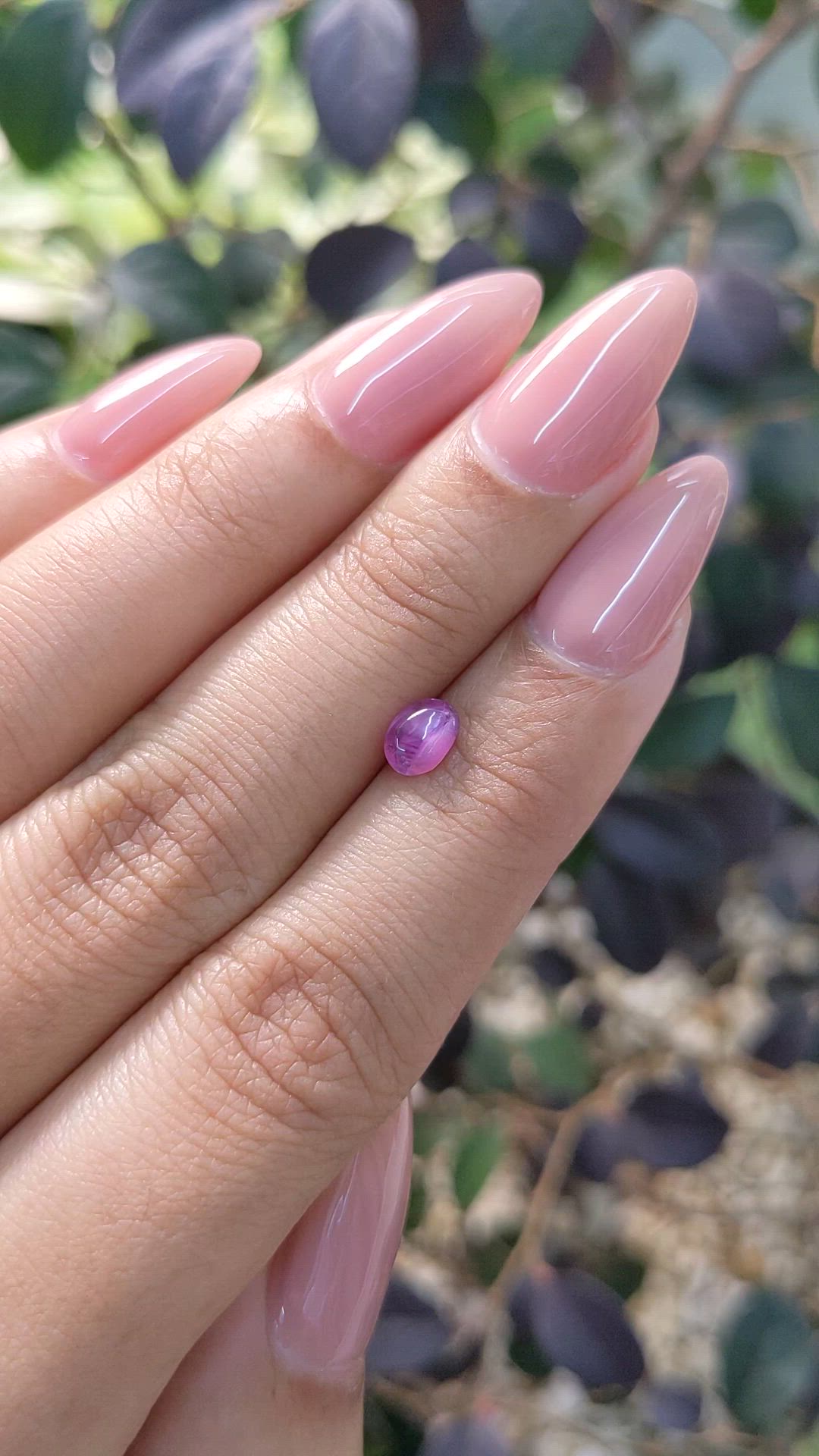 0.87 Ct. Purplish Pink Star Sapphire from Ceylon (Sri Lanka) Size Video